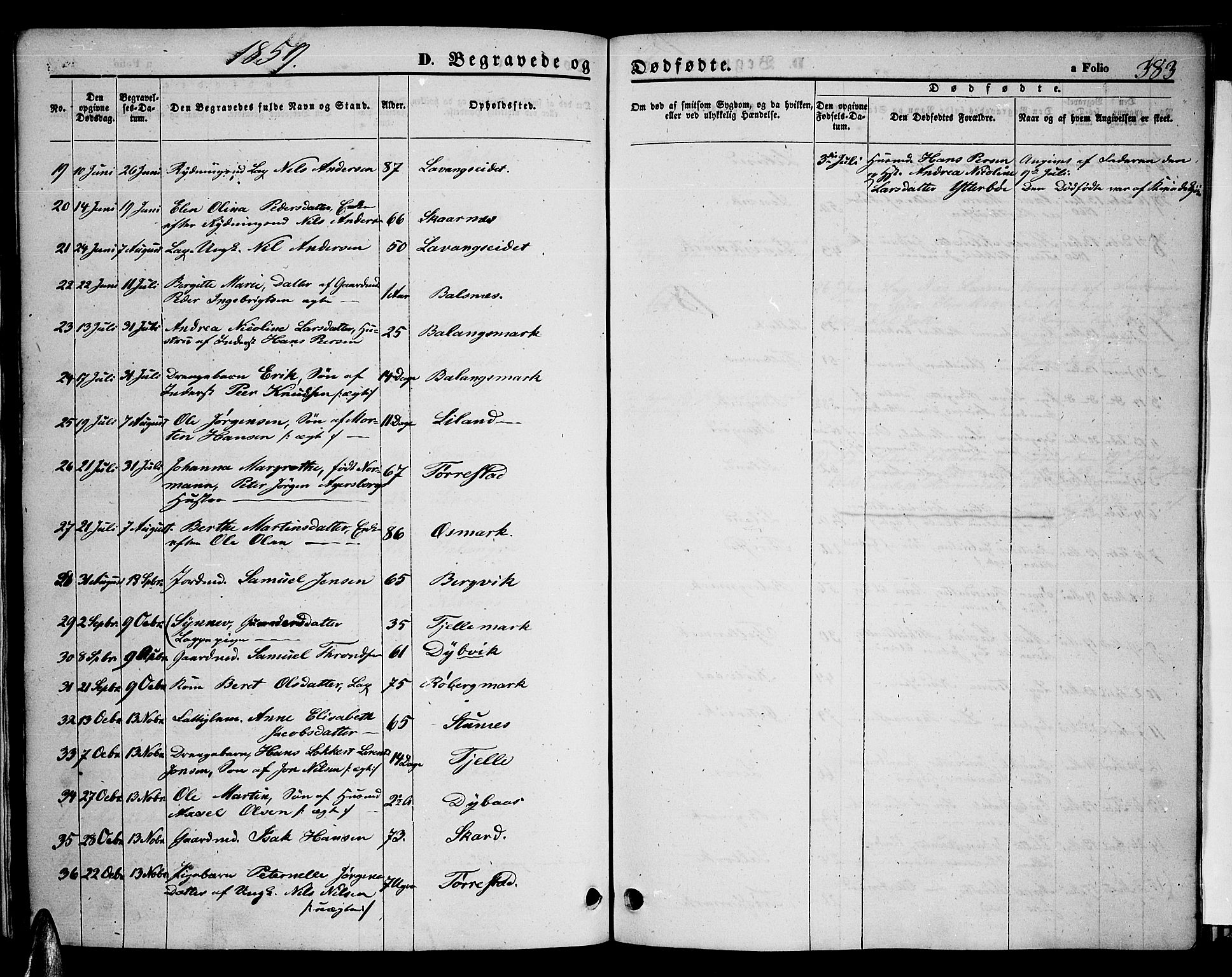 Ministerialprotokoller, klokkerbøker og fødselsregistre - Nordland, AV/SAT-A-1459/863/L0912: Parish register (copy) no. 863C02, 1858-1876, p. 383