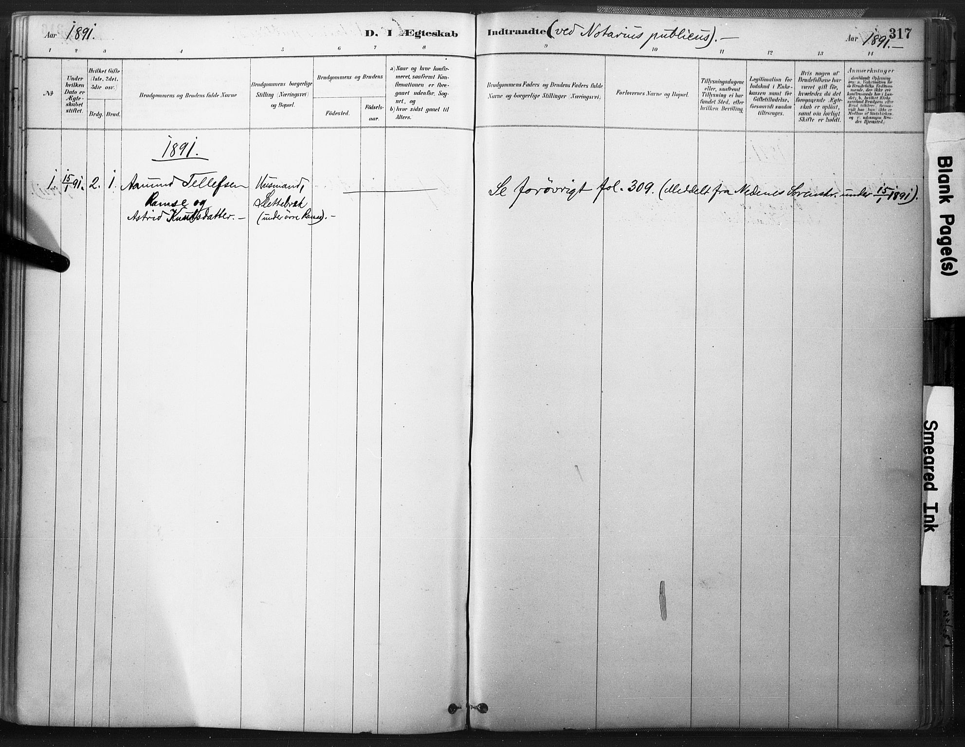 Åmli sokneprestkontor, SAK/1111-0050/F/Fa/Fac/L0010: Parish register (official) no. A 10 /3, 1885-1899, p. 317
