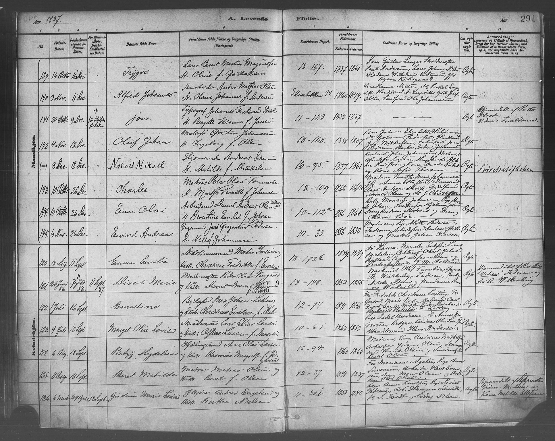 Domkirken sokneprestembete, AV/SAB-A-74801/H/Haa/L0023: Parish register (official) no. B 6, 1879-1887, p. 291