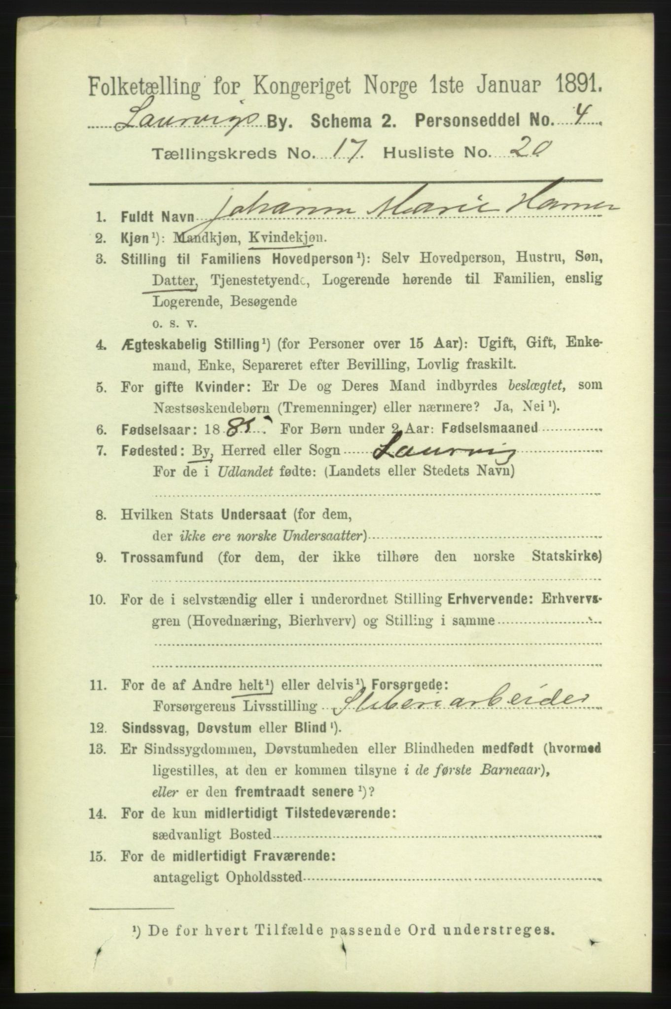 RA, 1891 census for 0707 Larvik, 1891, p. 12493