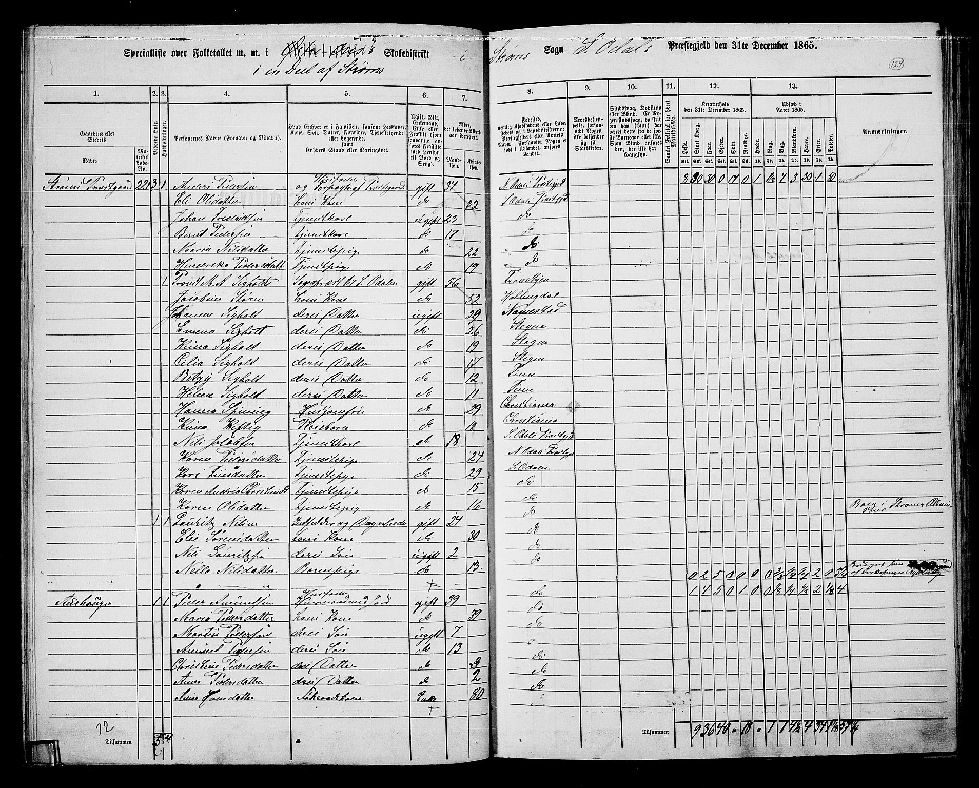 RA, 1865 census for Sør-Odal, 1865, p. 114