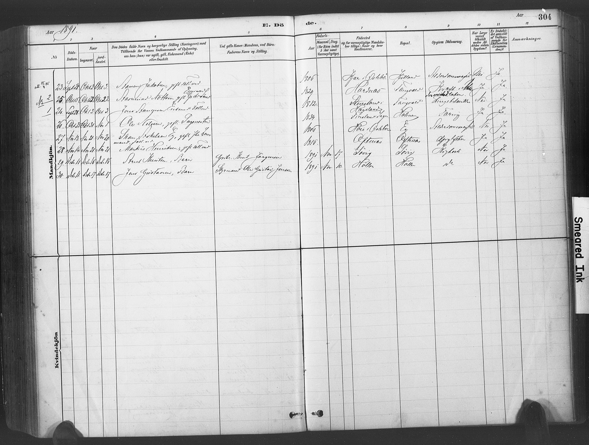 Søgne sokneprestkontor, SAK/1111-0037/F/Fa/Fab/L0012: Parish register (official) no. A 12, 1880-1891, p. 304