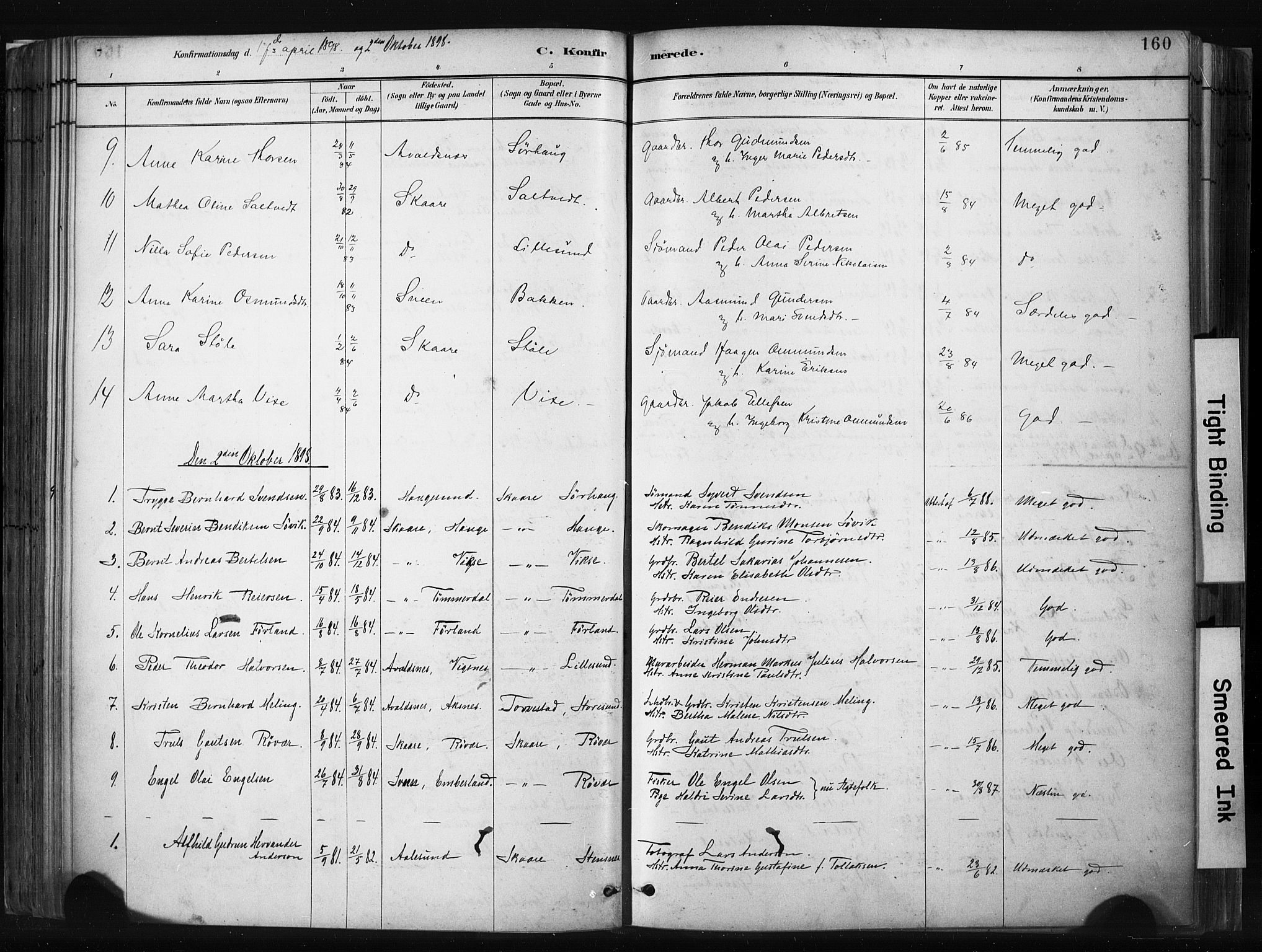 Haugesund sokneprestkontor, AV/SAST-A -101863/H/Ha/Haa/L0004: Parish register (official) no. A 4, 1886-1908, p. 160