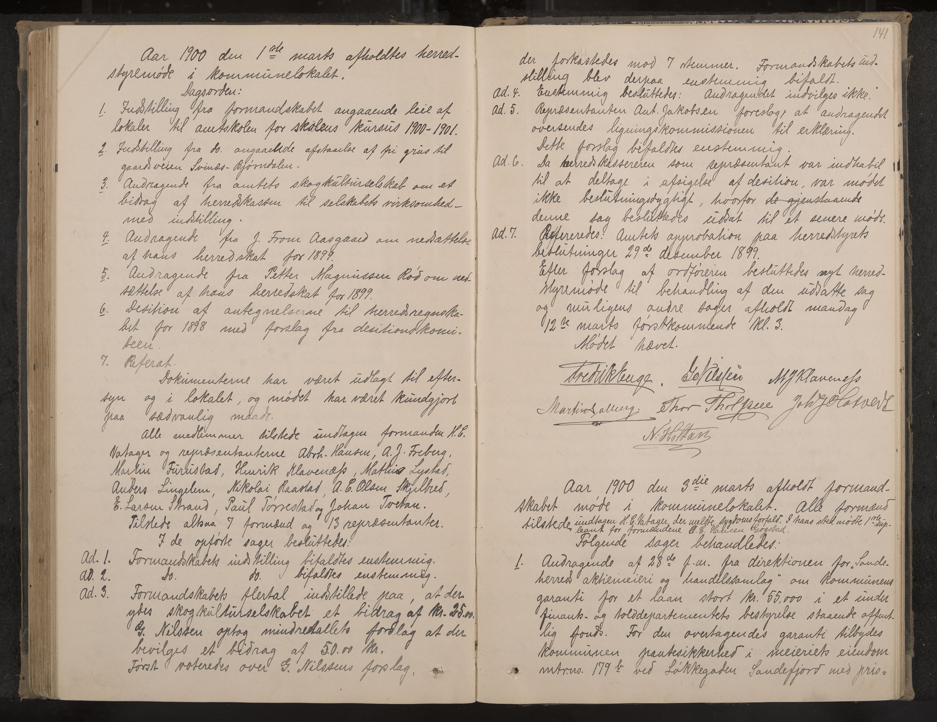 Sandar formannskap og sentraladministrasjon, IKAK/0724021/A/Aa/L0002: Møtebok, 1895-1900, p. 141