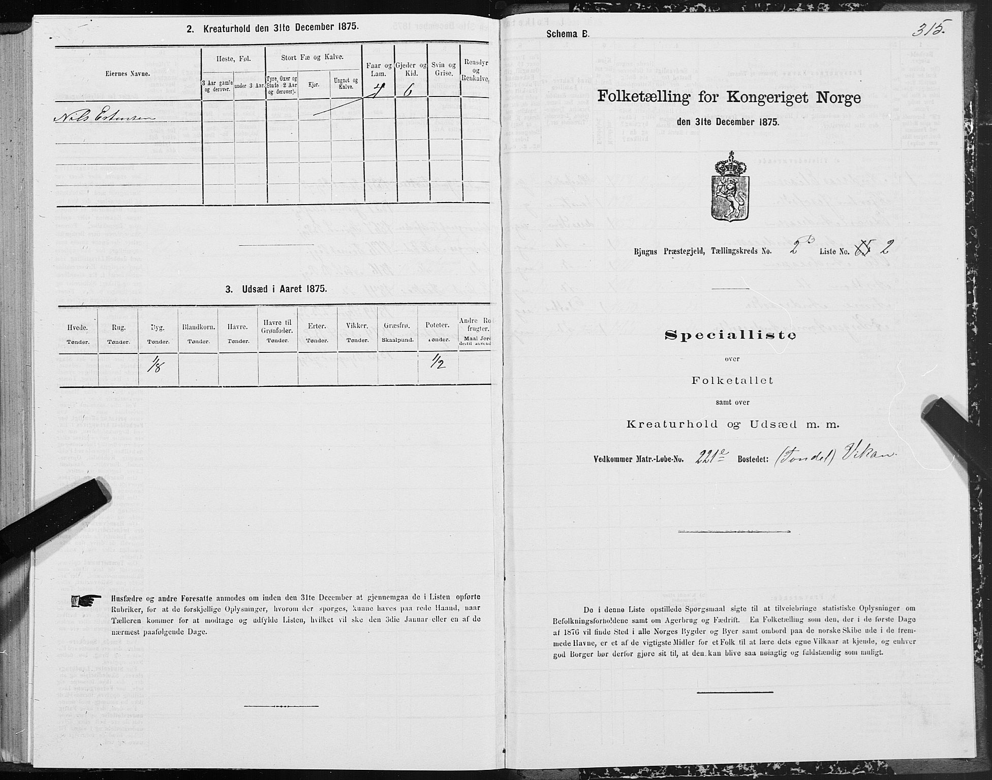 SAT, 1875 census for 1627P Bjugn, 1875, p. 1315