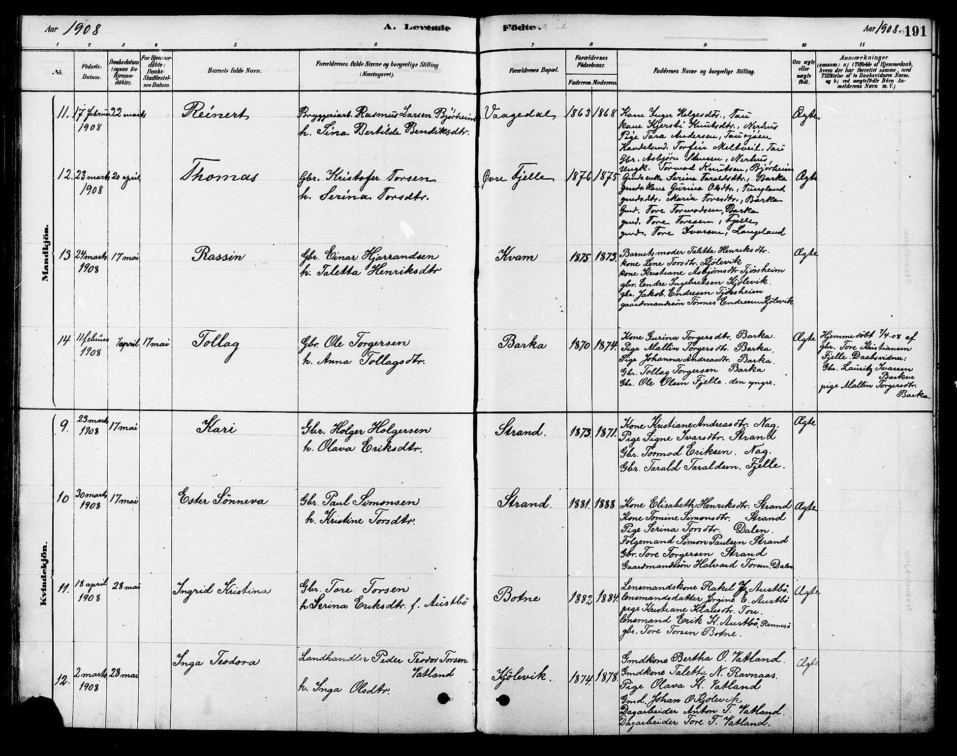 Strand sokneprestkontor, SAST/A-101828/H/Ha/Haa/L0009: Parish register (official) no. A 9, 1877-1908, p. 191