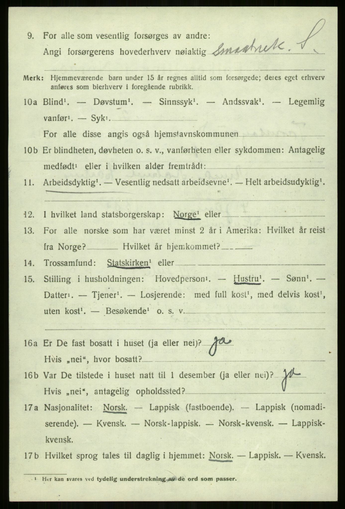 SATØ, 1920 census for Tromsøysund, 1920, p. 10207