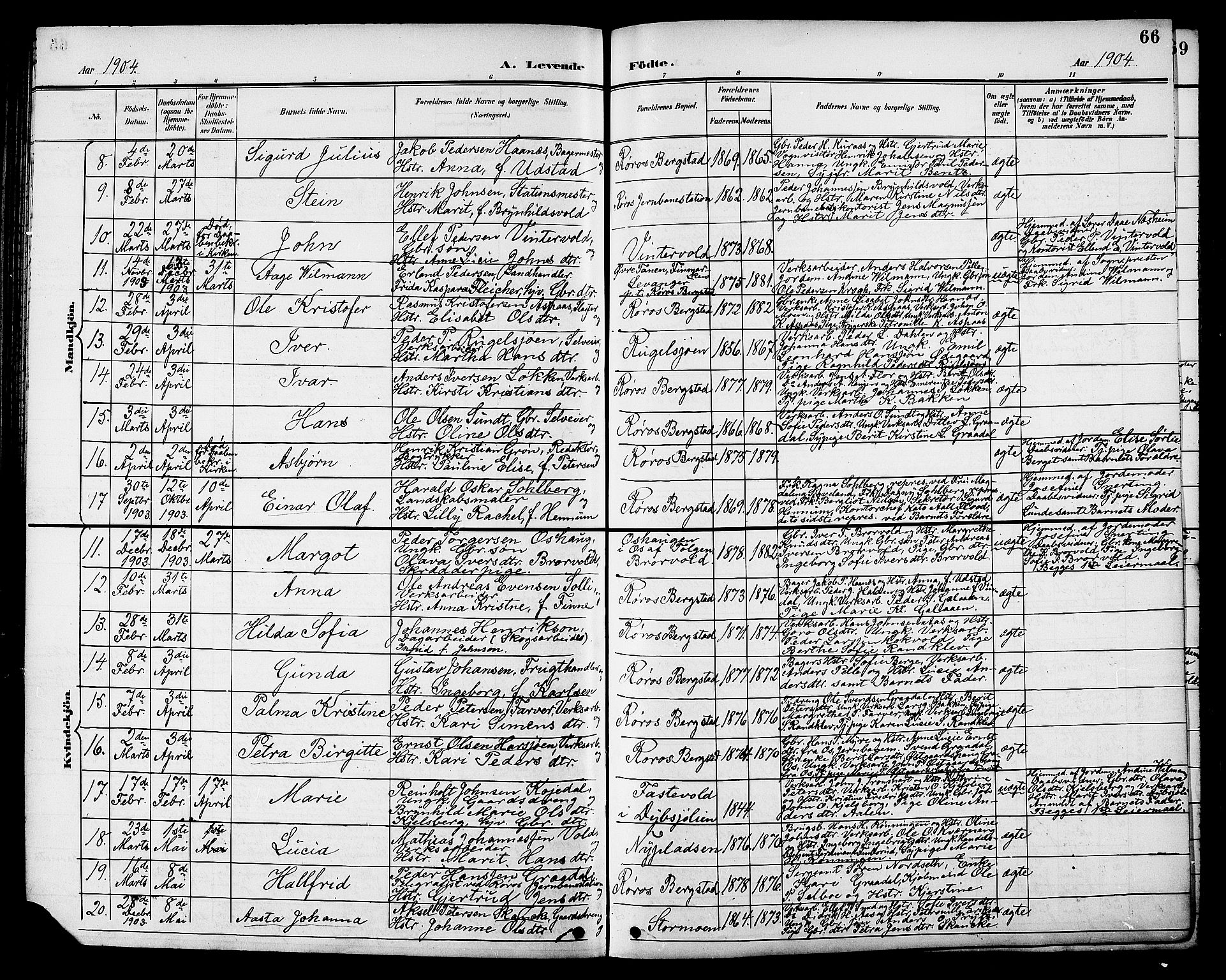 Ministerialprotokoller, klokkerbøker og fødselsregistre - Sør-Trøndelag, SAT/A-1456/681/L0941: Parish register (copy) no. 681C05, 1896-1905, p. 66
