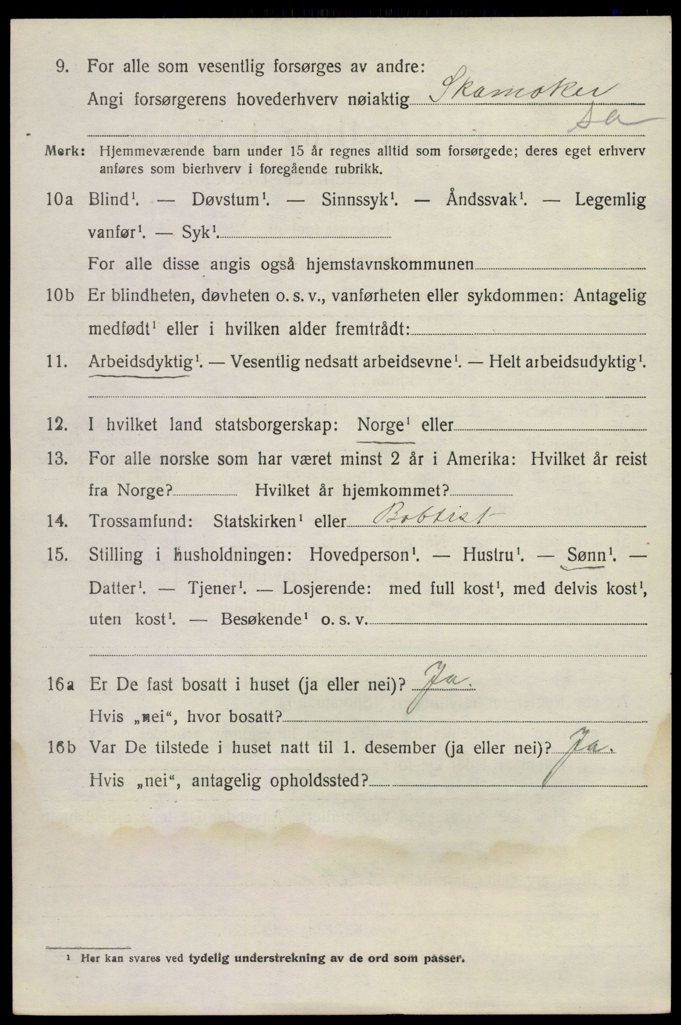 SAKO, 1920 census for Nøtterøy, 1920, p. 15516