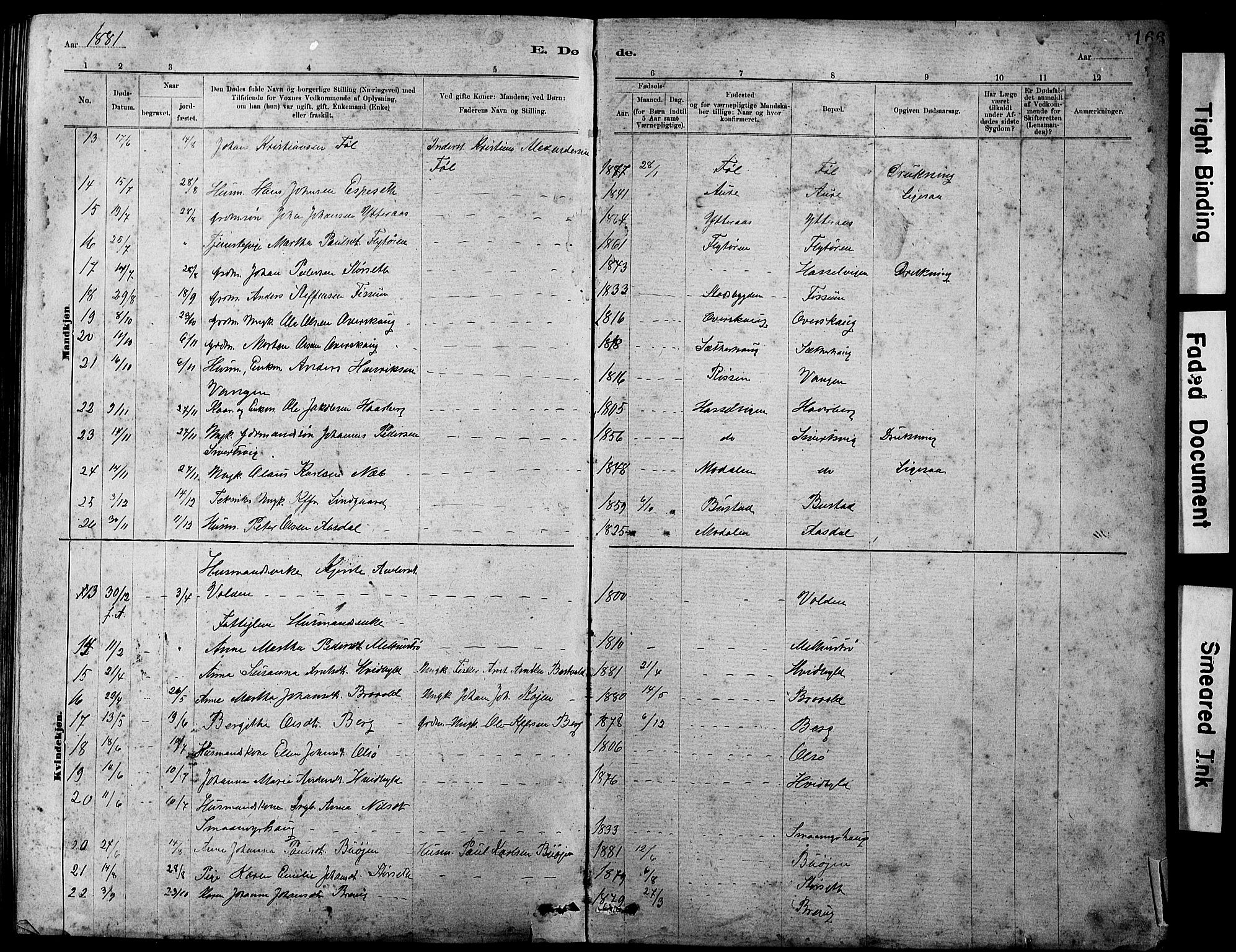 Ministerialprotokoller, klokkerbøker og fødselsregistre - Sør-Trøndelag, SAT/A-1456/647/L0636: Parish register (copy) no. 647C01, 1881-1884, p. 166