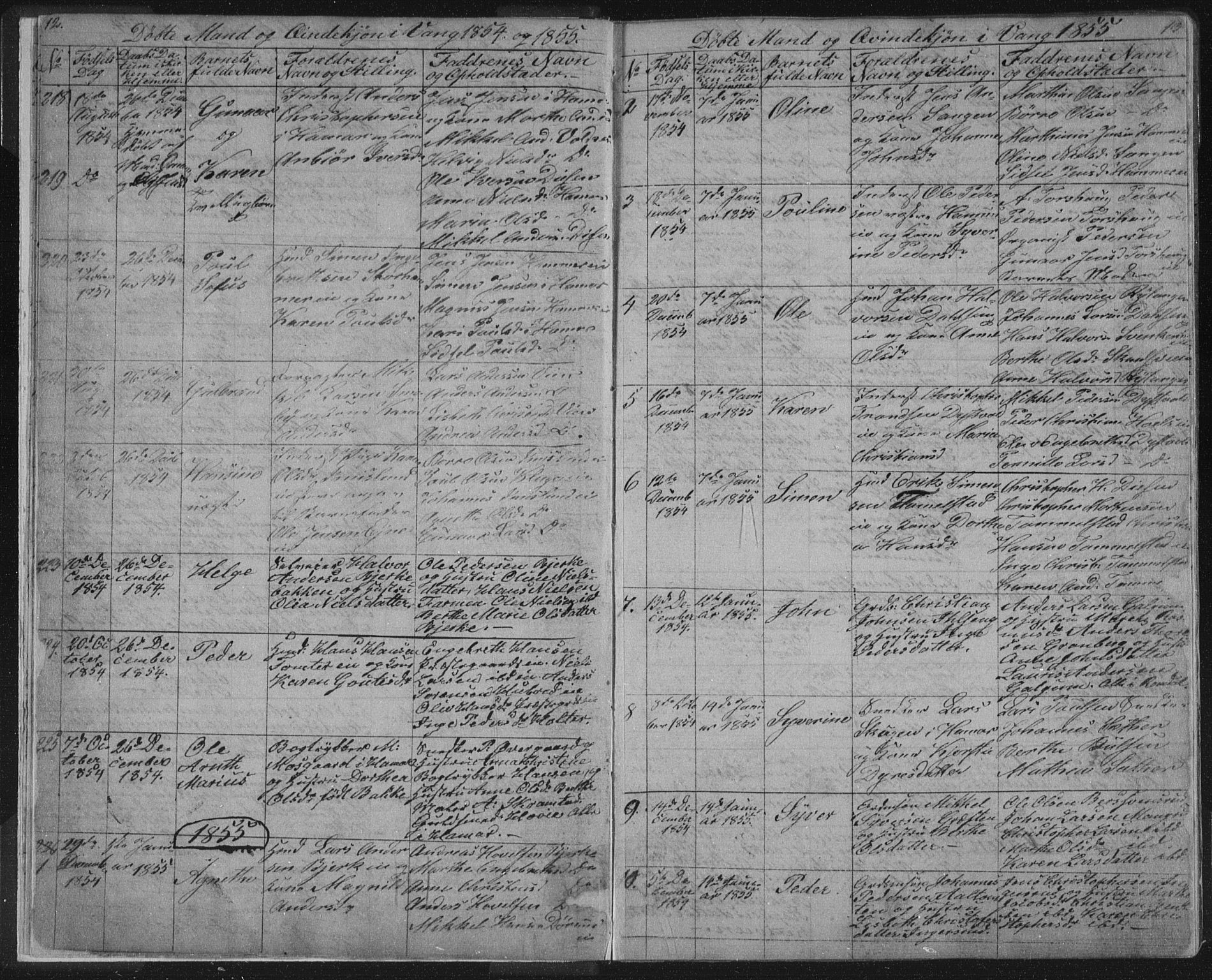 Vang prestekontor, Hedmark, SAH/PREST-008/H/Ha/Hab/L0010A: Parish register (copy) no. 10a, 1854-1896, p. 12-13