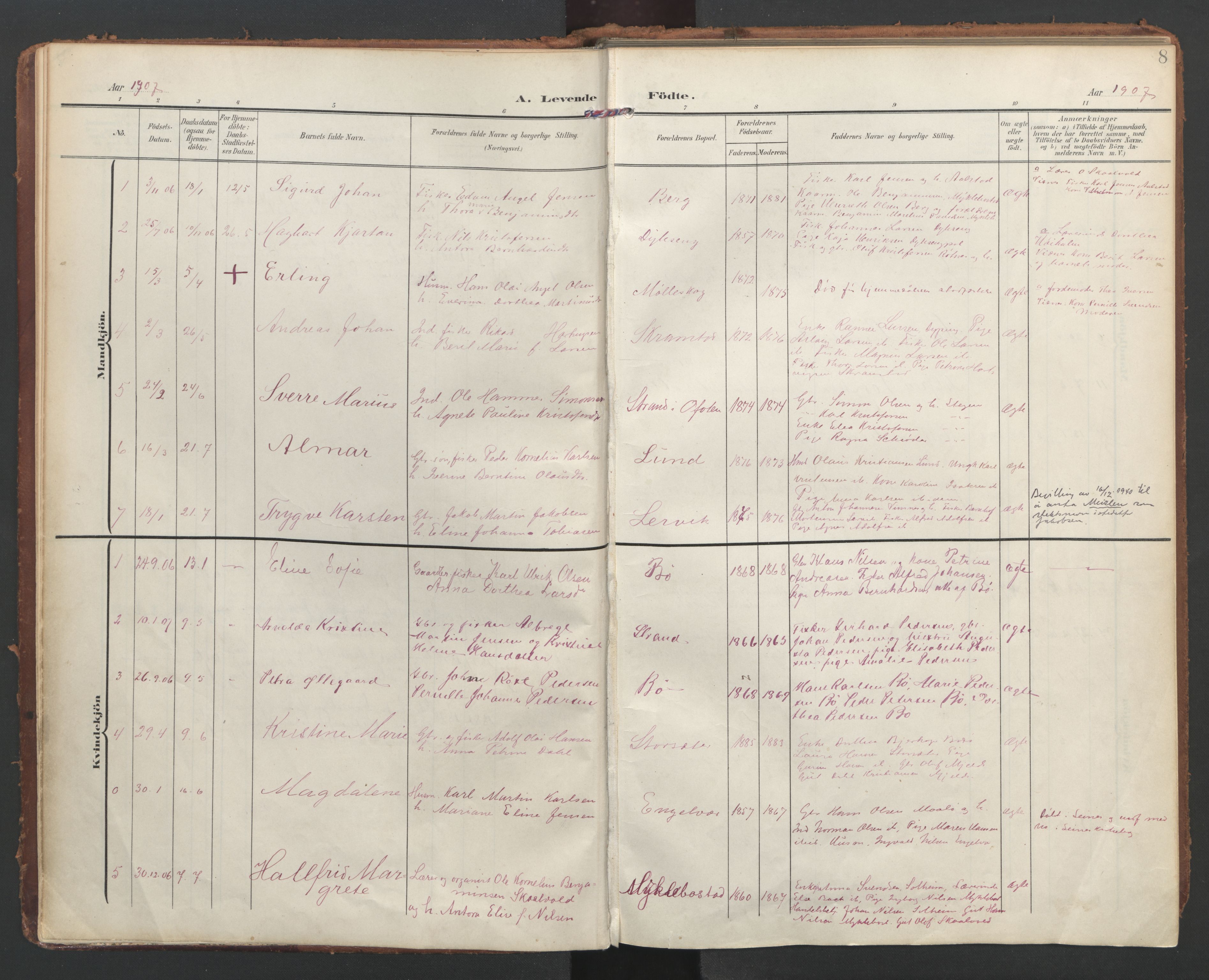 Ministerialprotokoller, klokkerbøker og fødselsregistre - Nordland, AV/SAT-A-1459/855/L0805: Parish register (official) no. 855A13, 1906-1920, p. 8