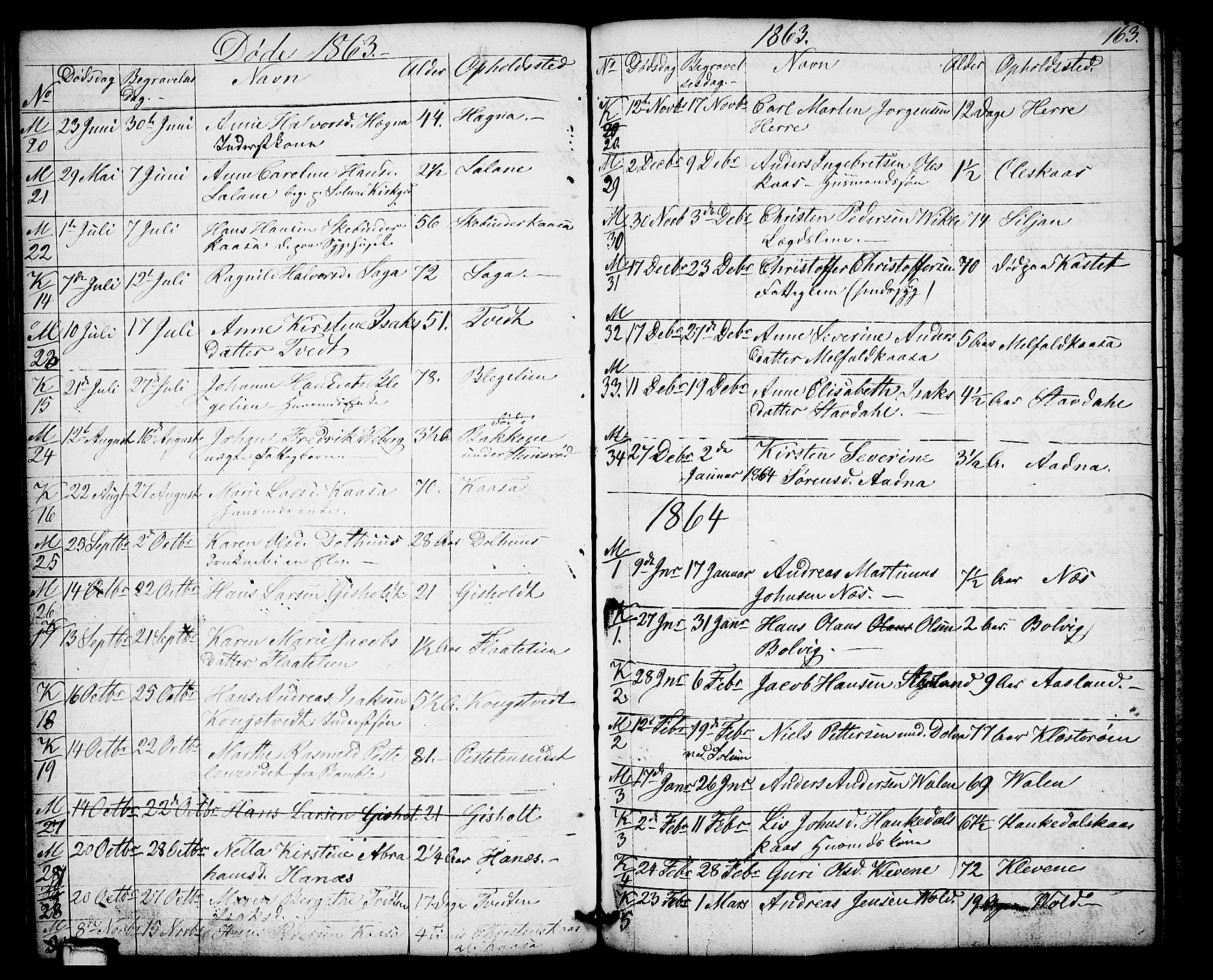 Solum kirkebøker, SAKO/A-306/G/Gb/L0002: Parish register (copy) no. II 2, 1859-1879, p. 163