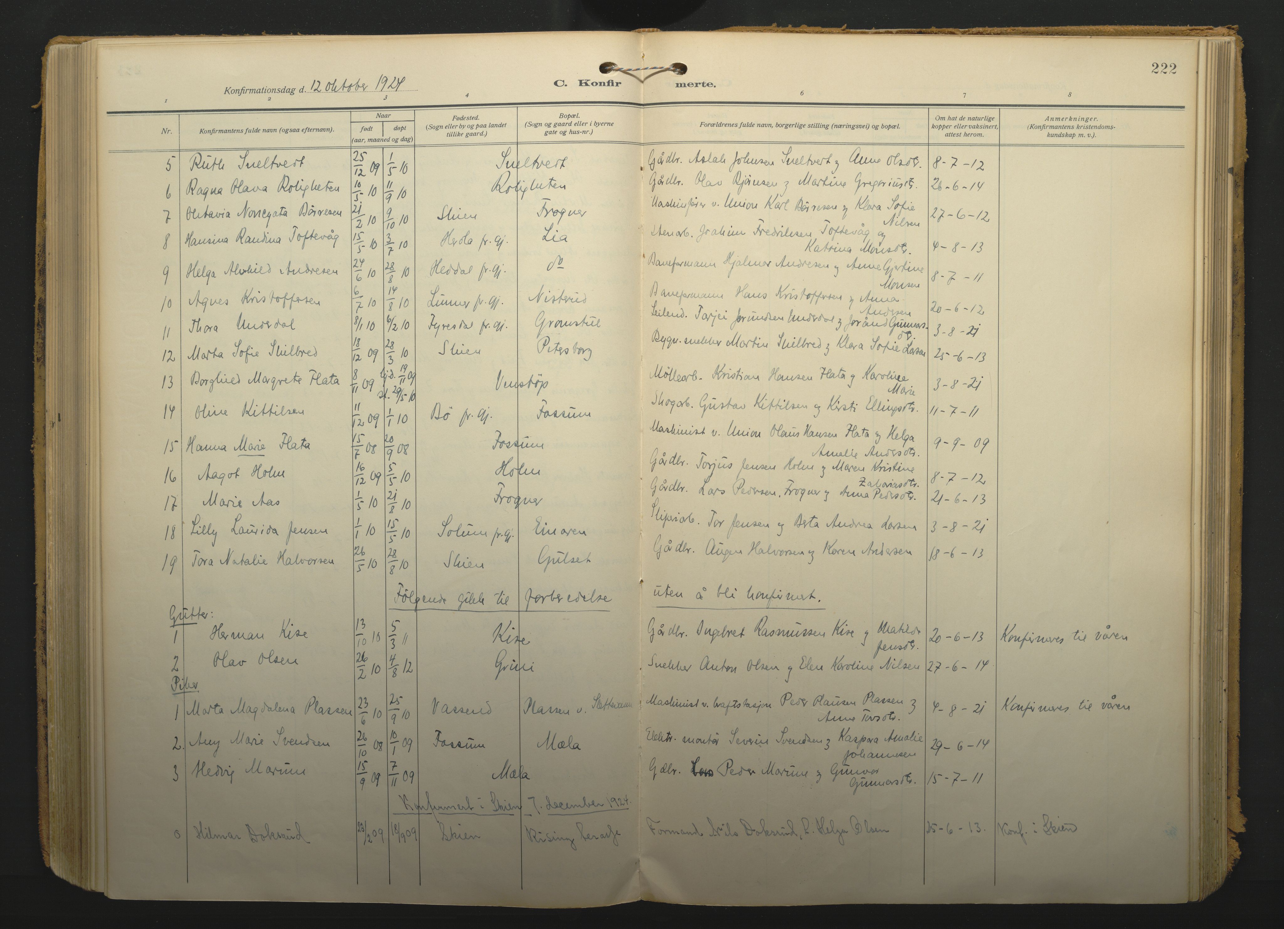 Gjerpen kirkebøker, SAKO/A-265/F/Fa/L0013: Parish register (official) no. I 13, 1914-1924, p. 222