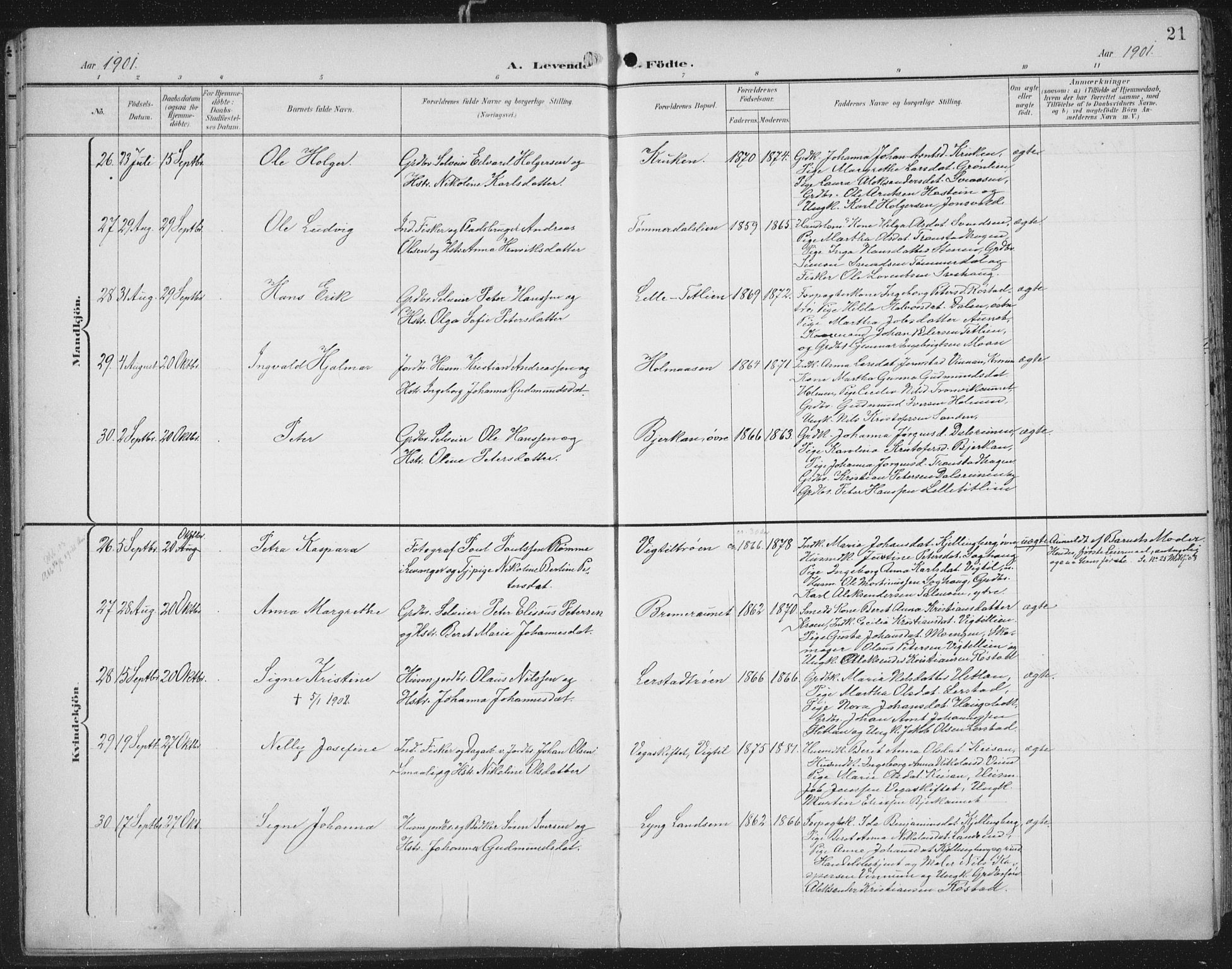 Ministerialprotokoller, klokkerbøker og fødselsregistre - Nord-Trøndelag, AV/SAT-A-1458/701/L0011: Parish register (official) no. 701A11, 1899-1915, p. 21