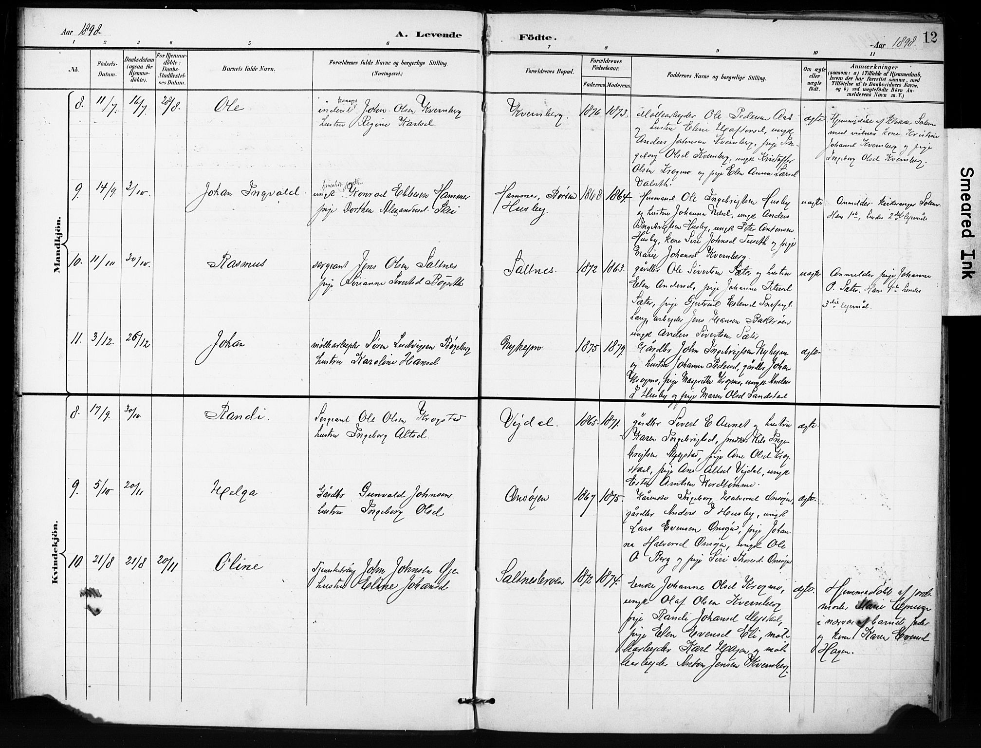 Ministerialprotokoller, klokkerbøker og fødselsregistre - Sør-Trøndelag, AV/SAT-A-1456/666/L0787: Parish register (official) no. 666A05, 1895-1908, p. 12