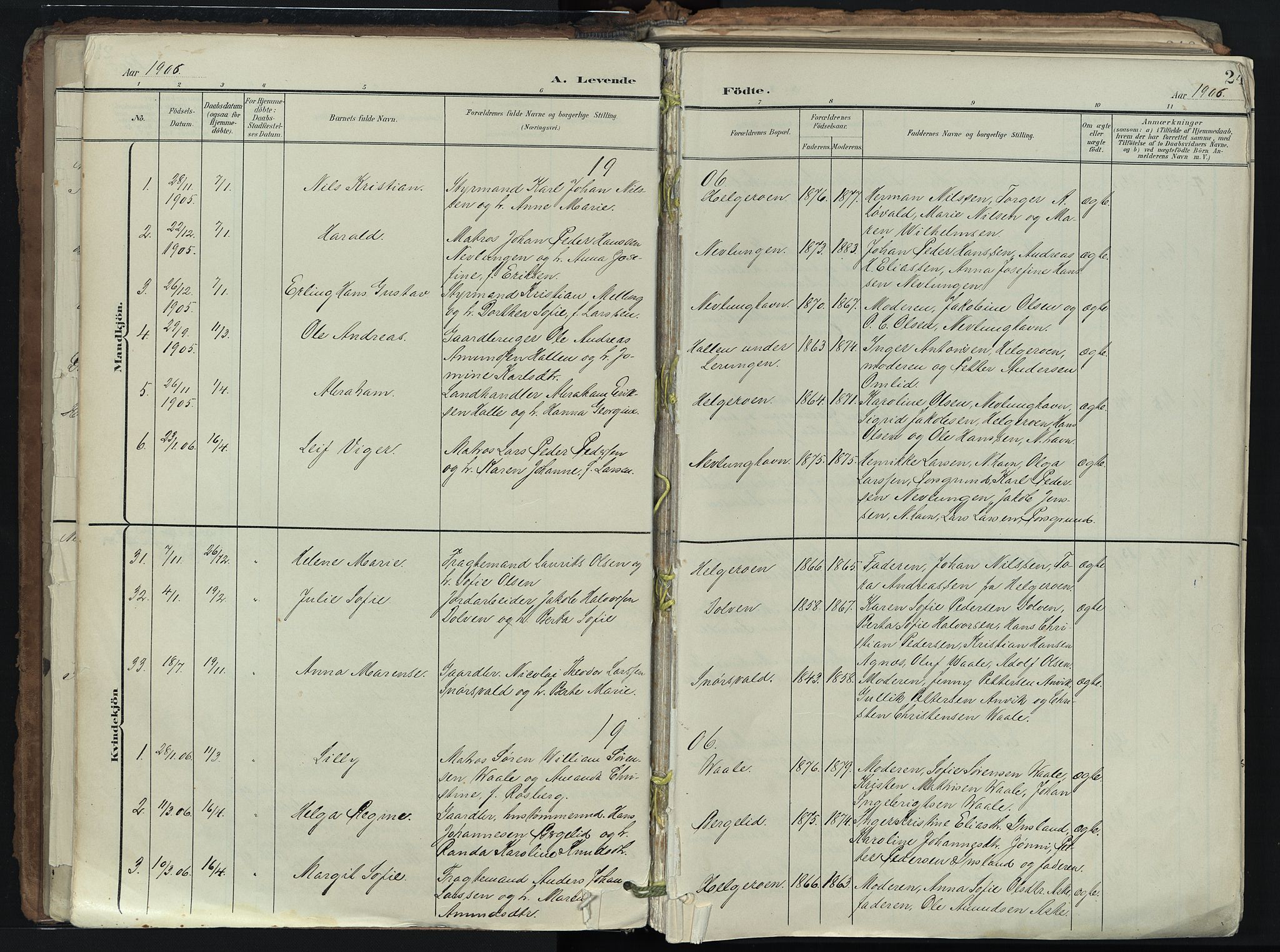Brunlanes kirkebøker, SAKO/A-342/F/Fb/L0003: Parish register (official) no. II 3, 1900-1922, p. 24