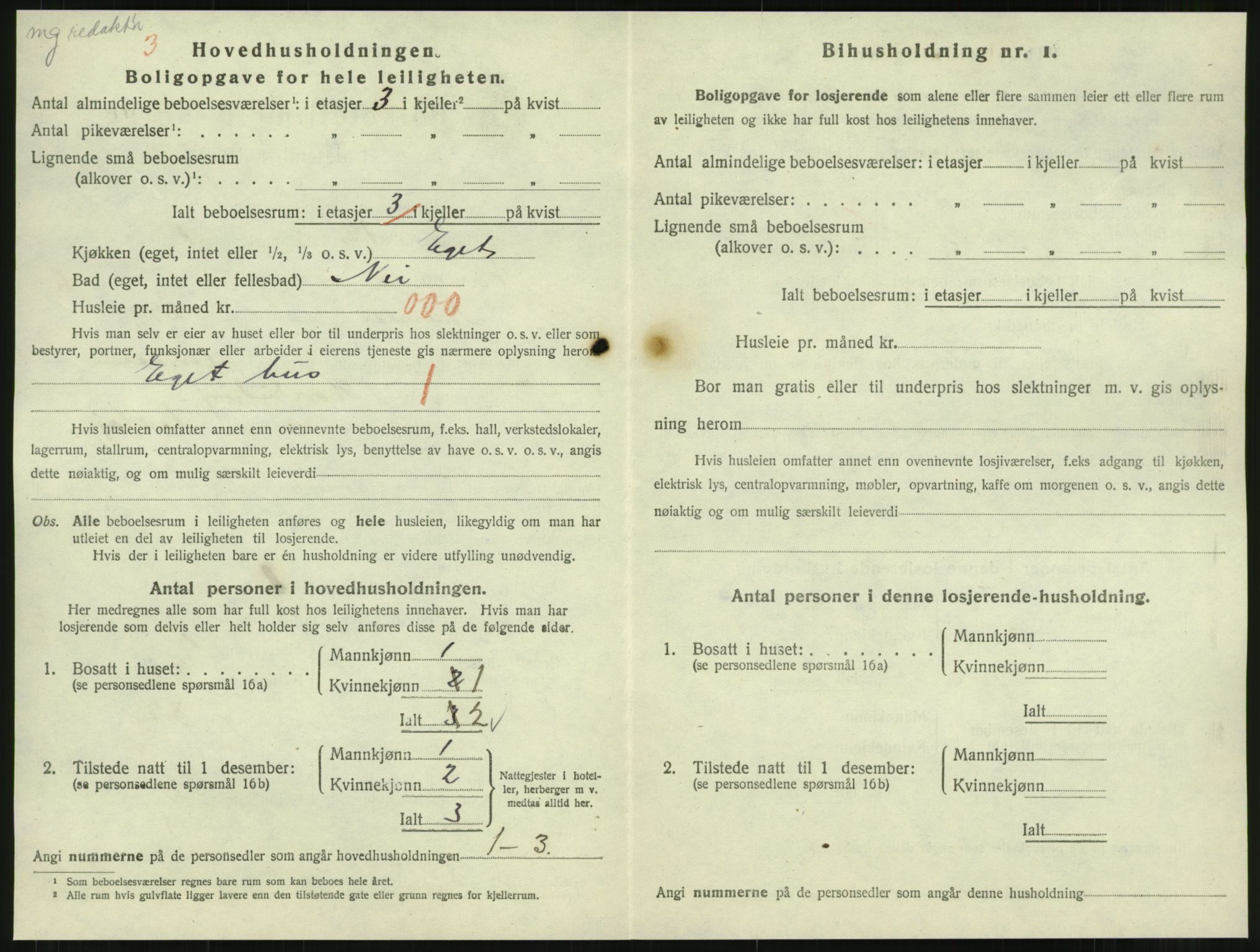 SAT, 1920 census for Namsos, 1920, p. 1810