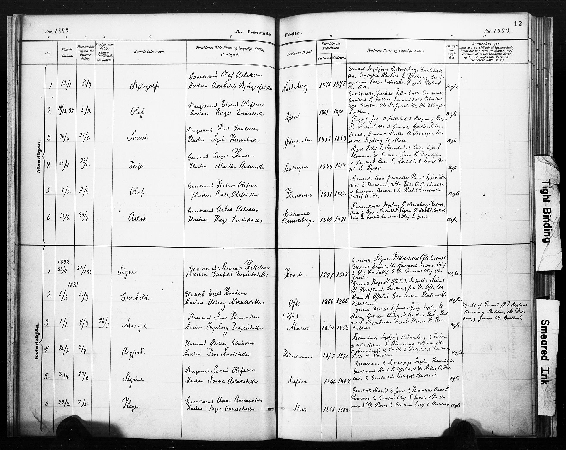Lårdal kirkebøker, SAKO/A-284/F/Fc/L0002: Parish register (official) no. III 2, 1887-1906, p. 12