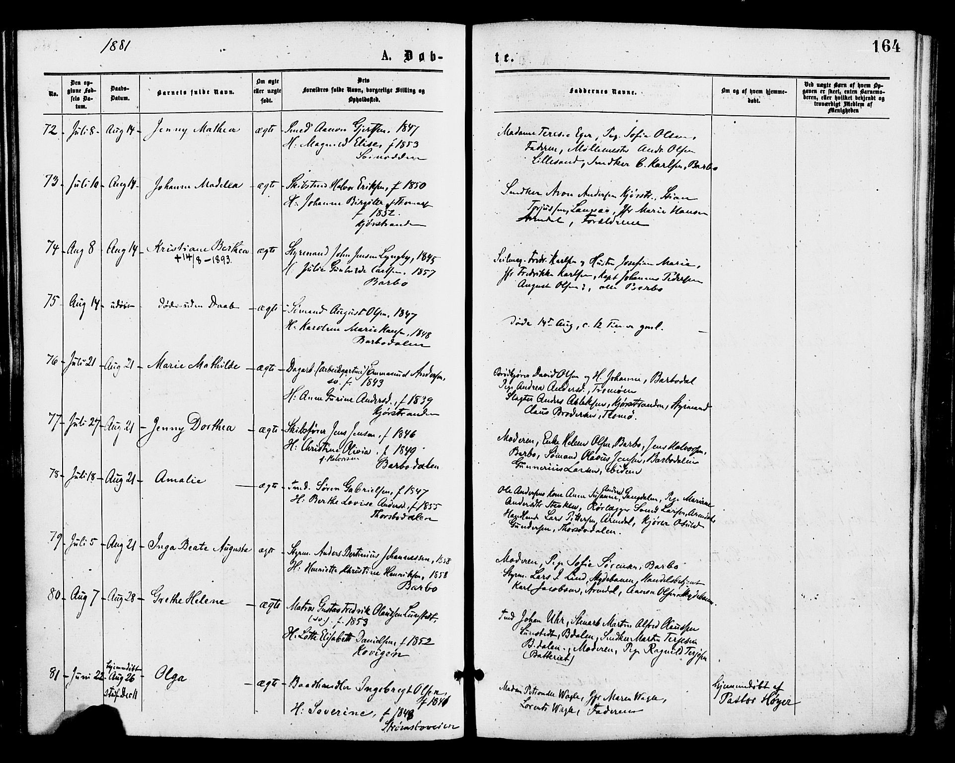 Barbu sokneprestkontor, AV/SAK-1111-0003/F/Fa/L0001: Parish register (official) no. A 1 /1, 1878-1883, p. 164