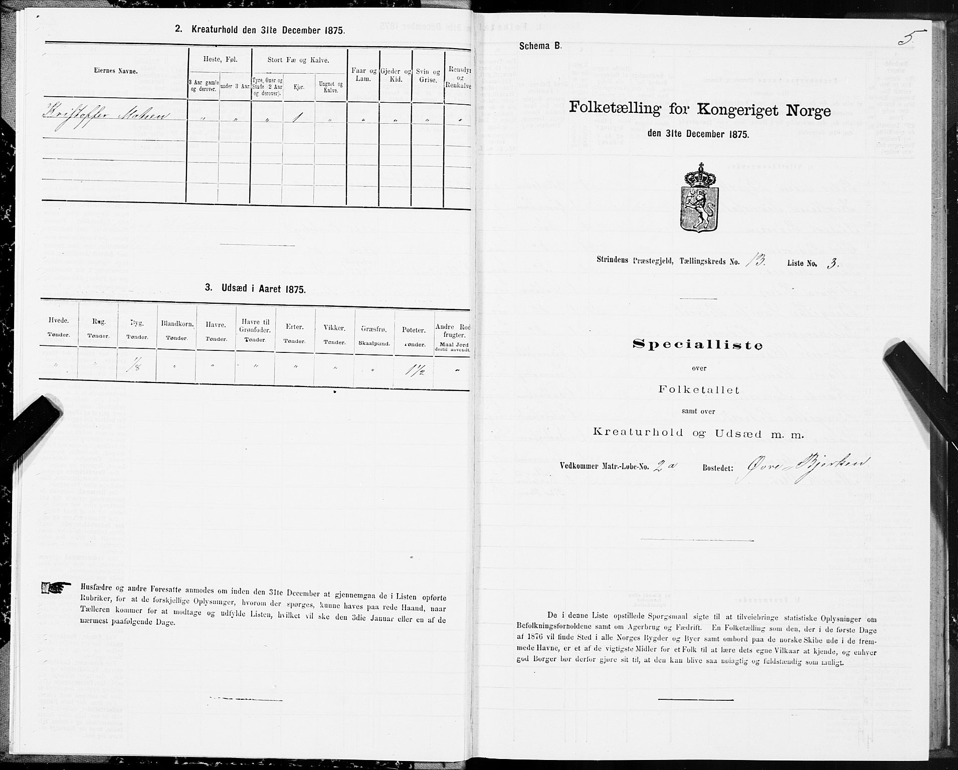 SAT, 1875 census for 1660P Strinda, 1875, p. 8005