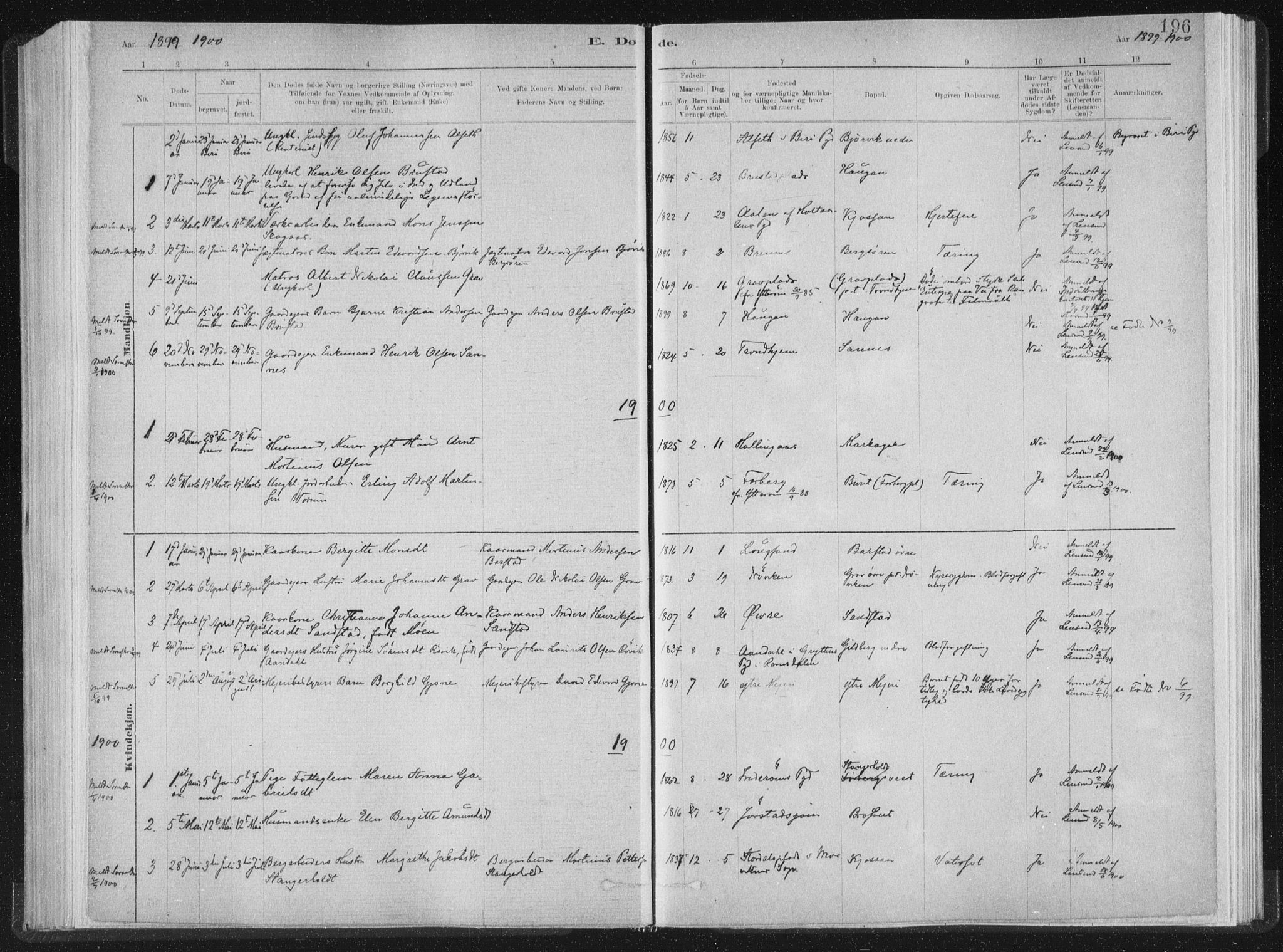Ministerialprotokoller, klokkerbøker og fødselsregistre - Nord-Trøndelag, SAT/A-1458/722/L0220: Parish register (official) no. 722A07, 1881-1908, p. 196