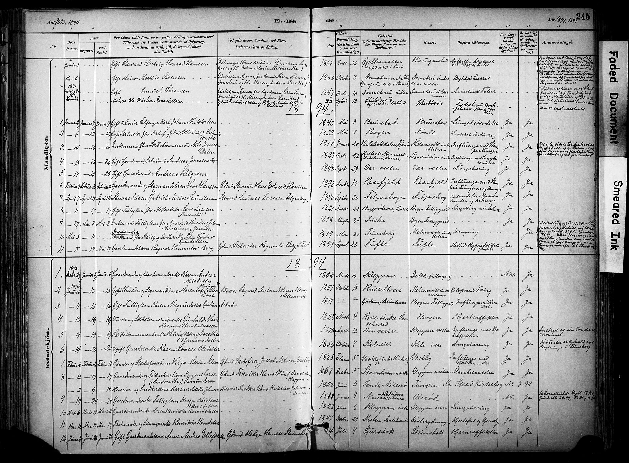 Stokke kirkebøker, SAKO/A-320/F/Fa/L0010: Parish register (official) no. I 10, 1884-1903, p. 245