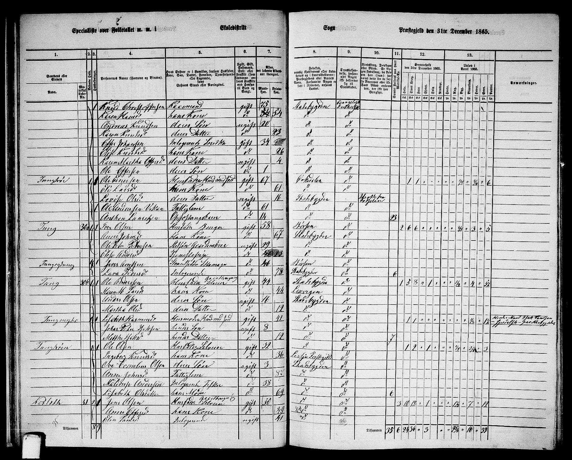 RA, 1865 census for Stadsbygd, 1865, p. 29