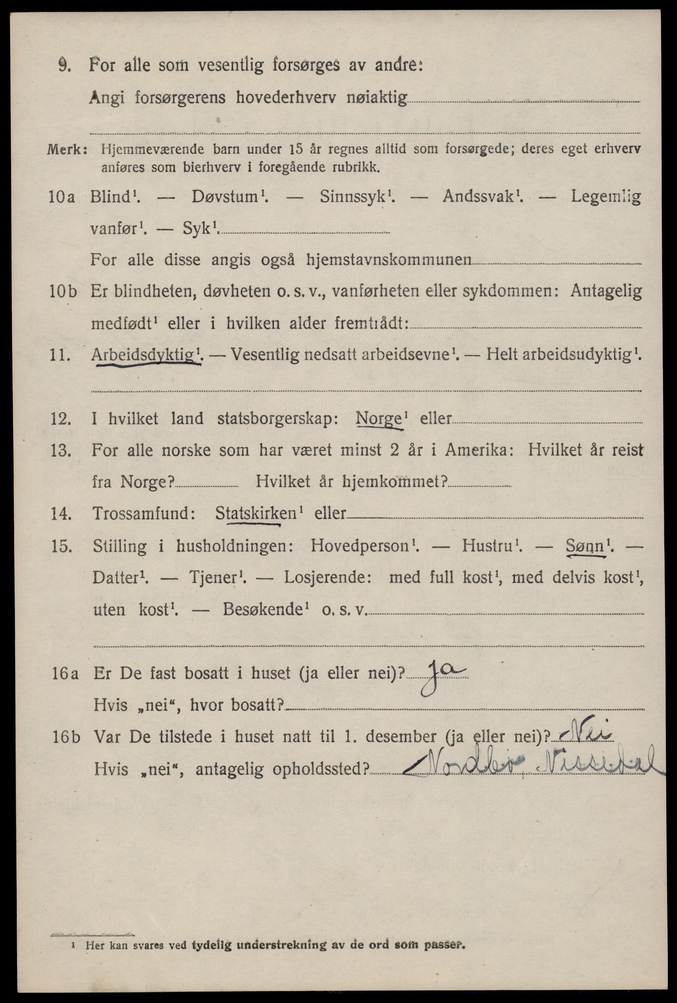 SAKO, 1920 census for Nissedal, 1920, p. 2064