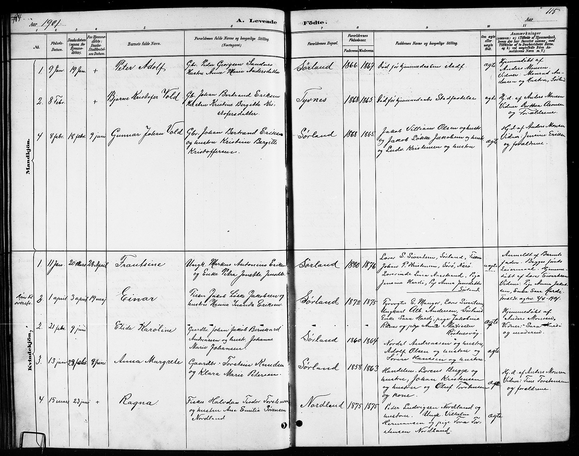 Ministerialprotokoller, klokkerbøker og fødselsregistre - Nordland, SAT/A-1459/807/L0123: Parish register (copy) no. 807C01, 1884-1910, p. 114-115