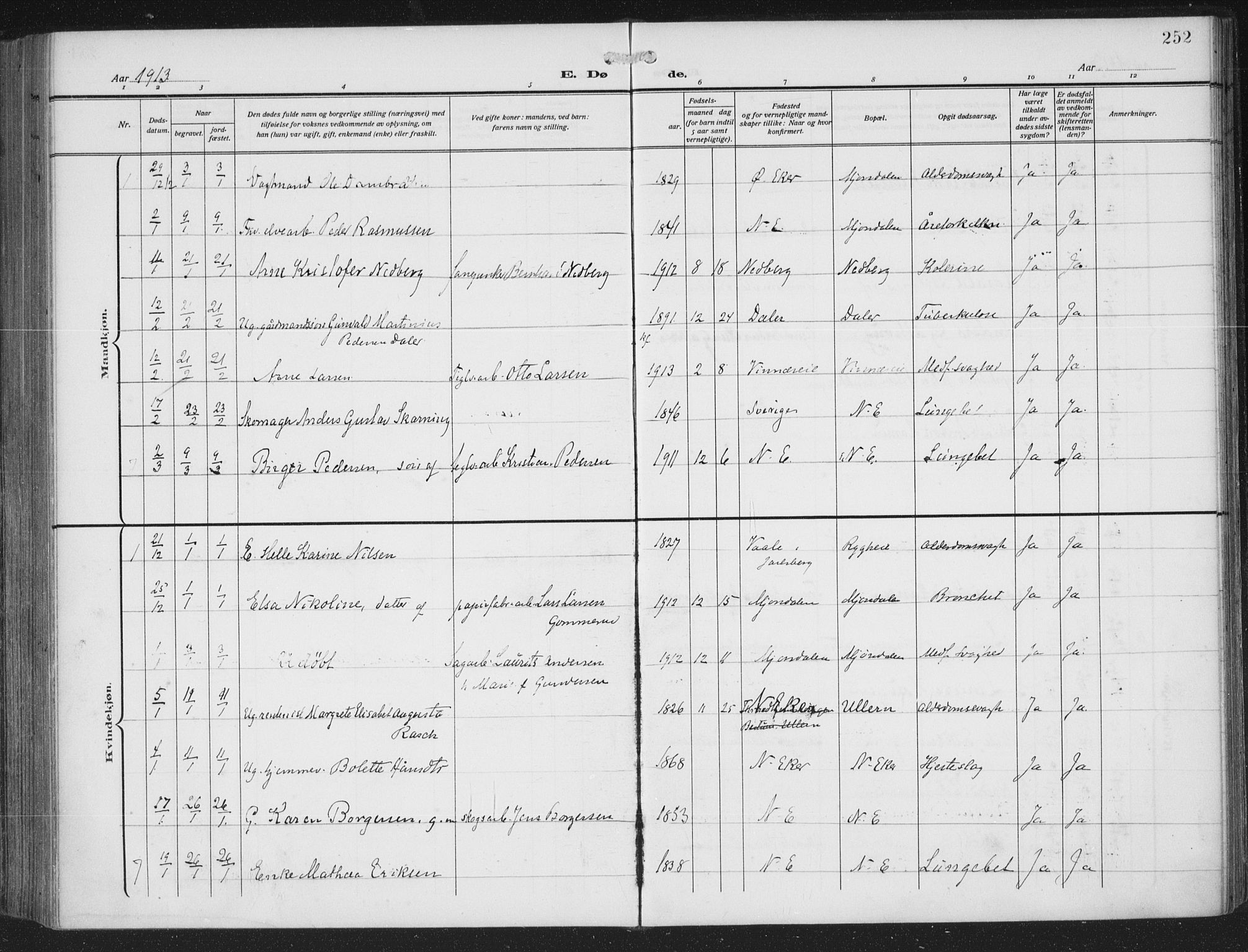 Nedre Eiker kirkebøker, AV/SAKO-A-612/F/Fa/L0007: Parish register (official) no. 7, 1912-1918, p. 252