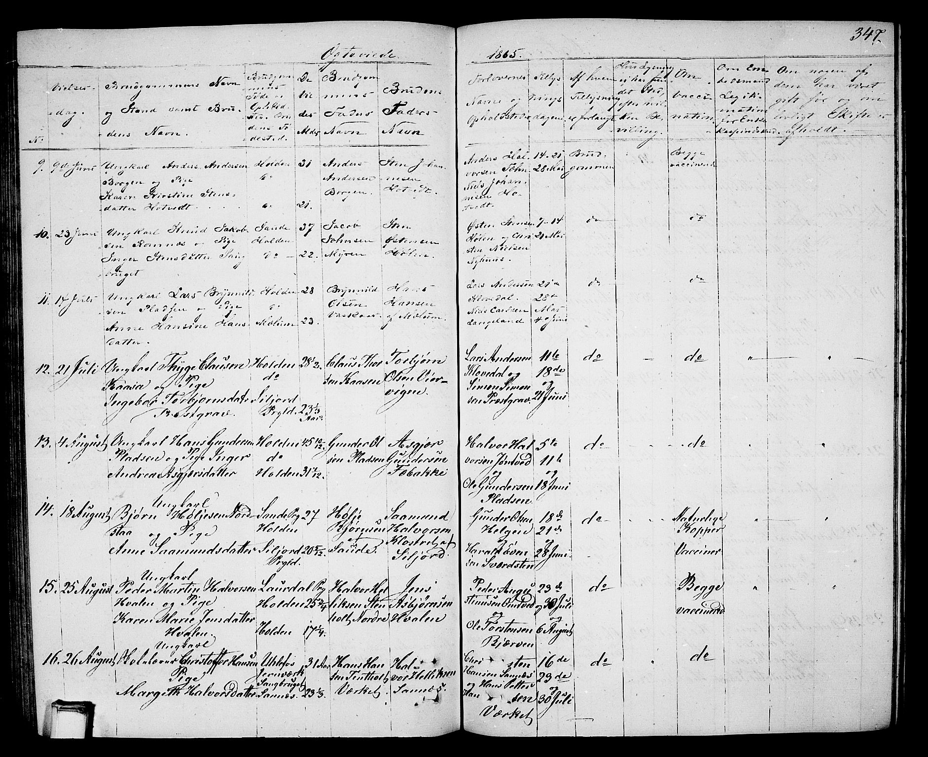 Holla kirkebøker, AV/SAKO-A-272/G/Ga/L0003: Parish register (copy) no. I 3, 1849-1866, p. 347