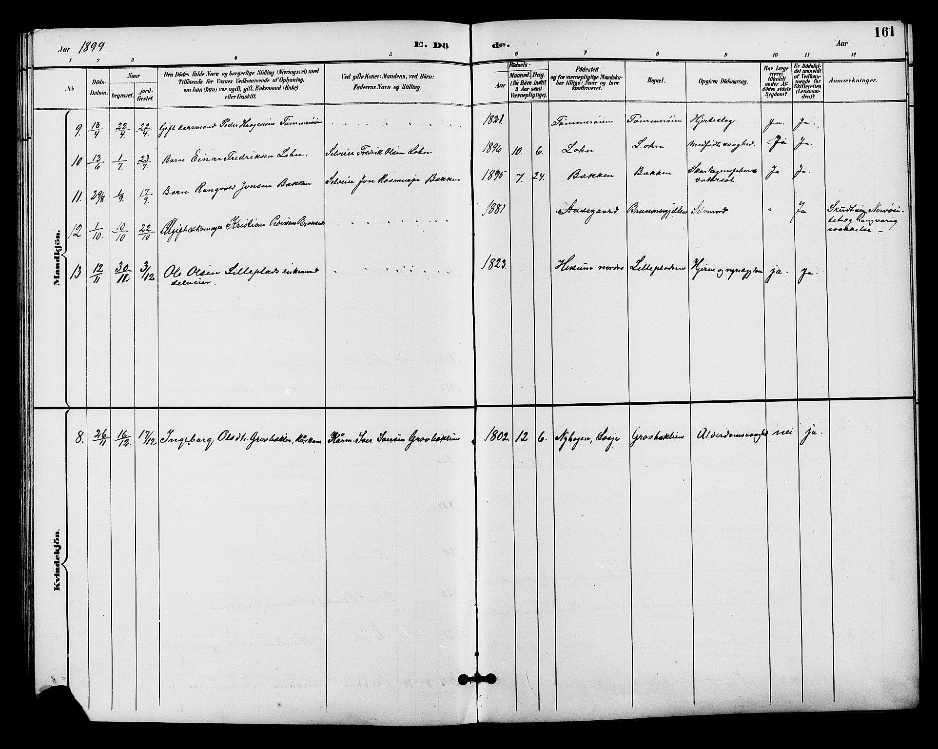 Alvdal prestekontor, AV/SAH-PREST-060/H/Ha/Hab/L0004: Parish register (copy) no. 4, 1894-1910, p. 161