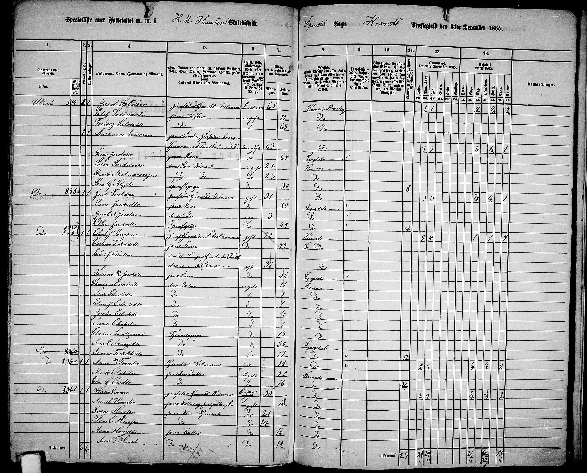 RA, 1865 census for Herad, 1865, p. 88