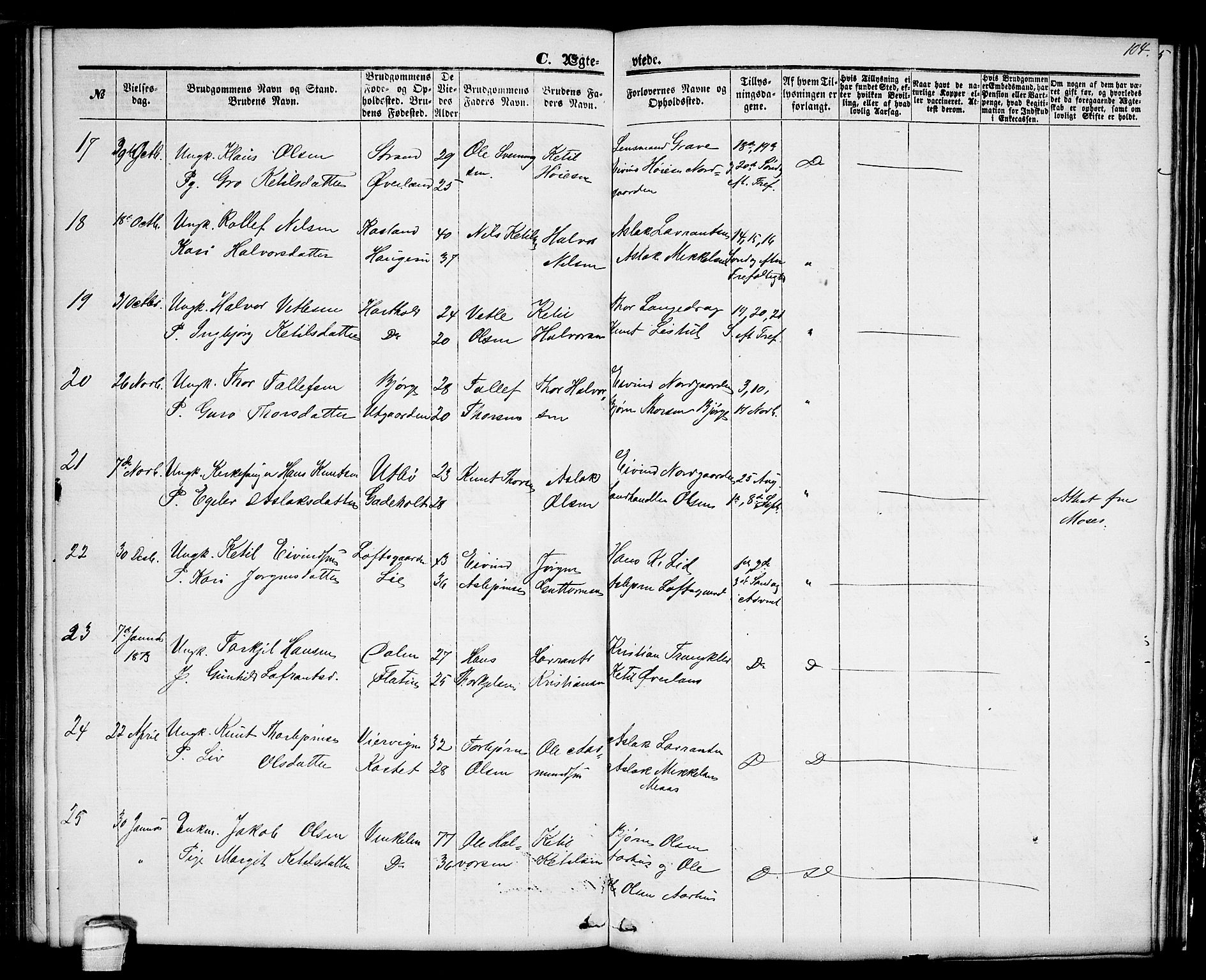 Seljord kirkebøker, SAKO/A-20/G/Ga/L0003: Parish register (copy) no. I 3, 1866-1873, p. 104