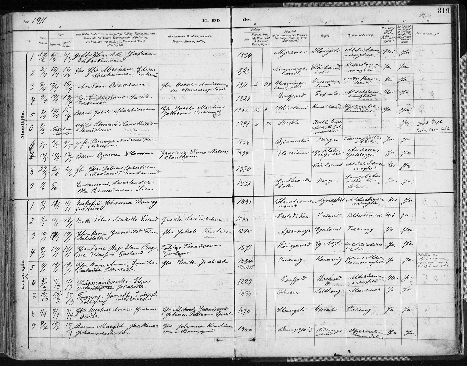 Lyngdal sokneprestkontor, SAK/1111-0029/F/Fa/Fac/L0012: Parish register (official) no. A 12, 1894-1918, p. 319