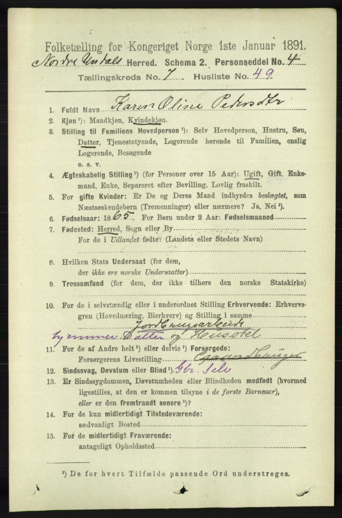 RA, 1891 census for 1028 Nord-Audnedal, 1891, p. 2066