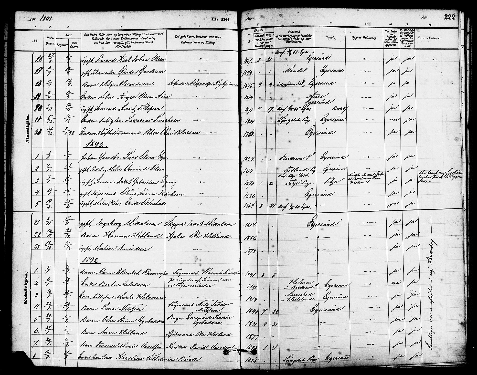 Eigersund sokneprestkontor, SAST/A-101807/S08/L0015: Parish register (official) no. A 15, 1879-1892, p. 222