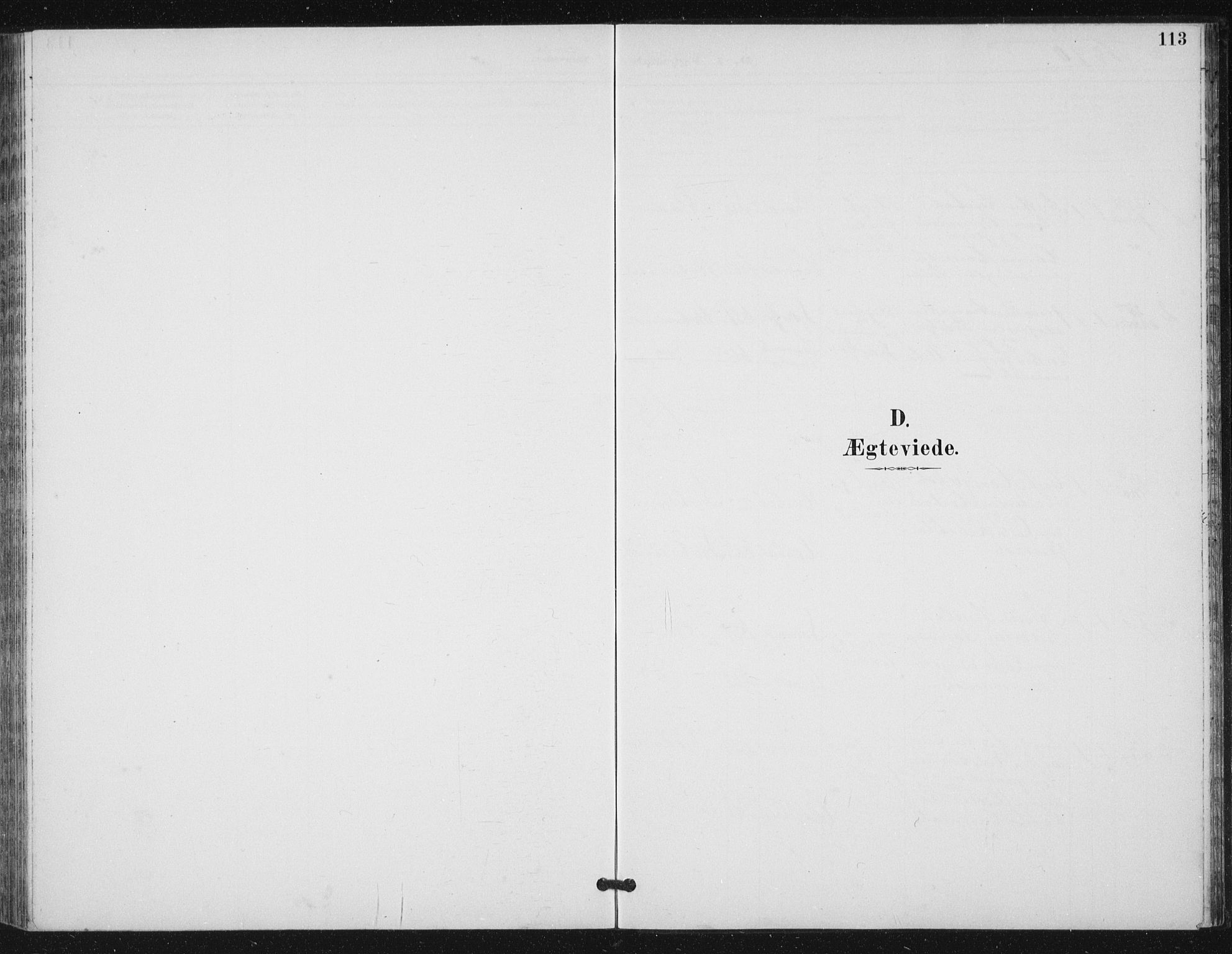 Ministerialprotokoller, klokkerbøker og fødselsregistre - Sør-Trøndelag, SAT/A-1456/656/L0698: Parish register (copy) no. 656C04, 1890-1904, p. 113