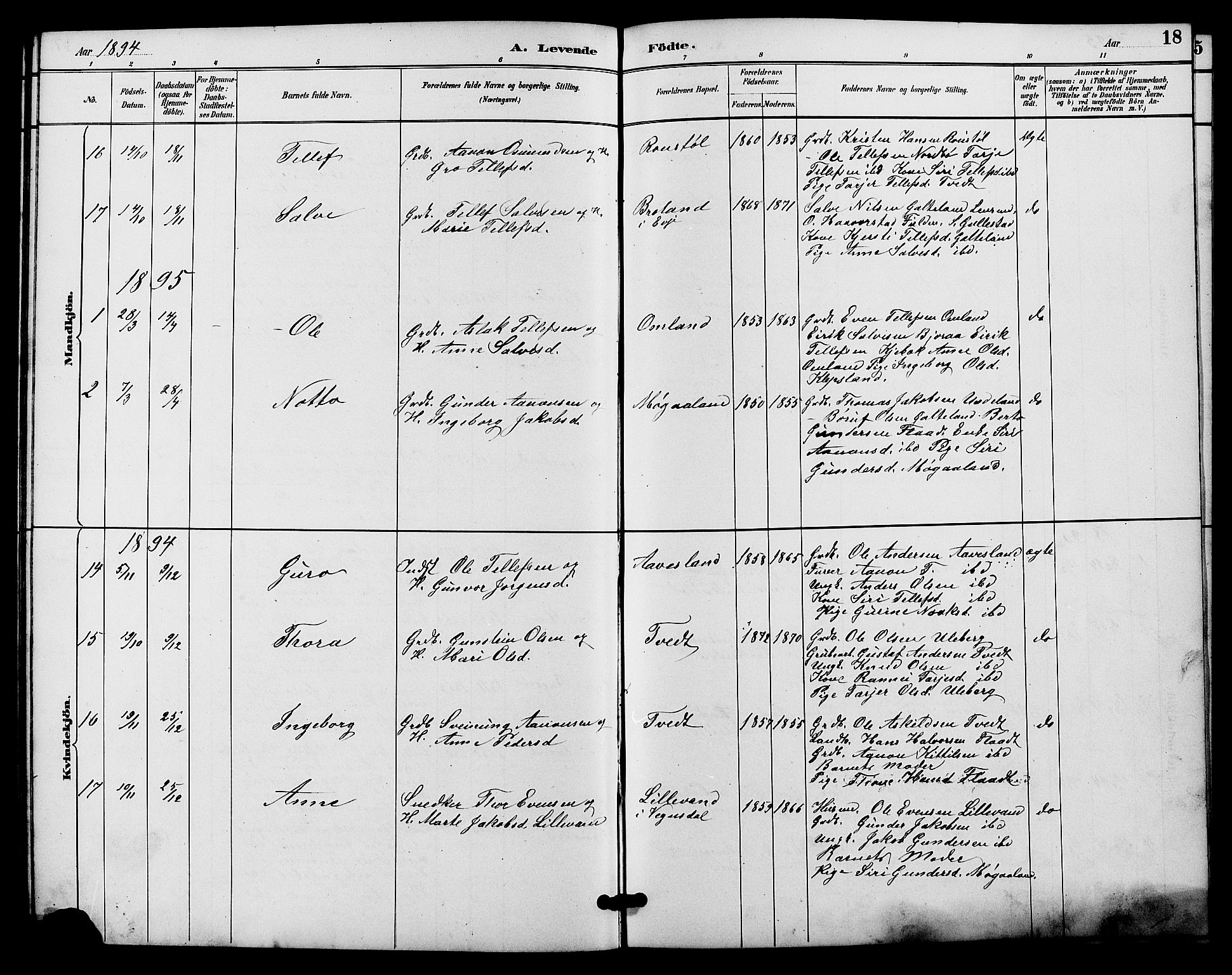 Evje sokneprestkontor, SAK/1111-0008/F/Fb/Fba/L0003: Parish register (copy) no. B 3, 1888-1903, p. 18