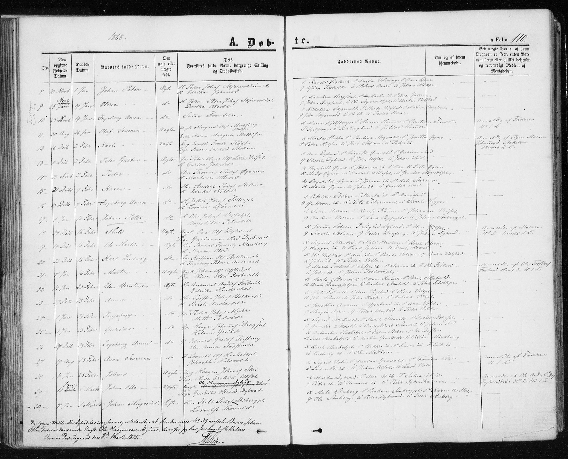 Ministerialprotokoller, klokkerbøker og fødselsregistre - Nord-Trøndelag, SAT/A-1458/709/L0075: Parish register (official) no. 709A15, 1859-1870, p. 110