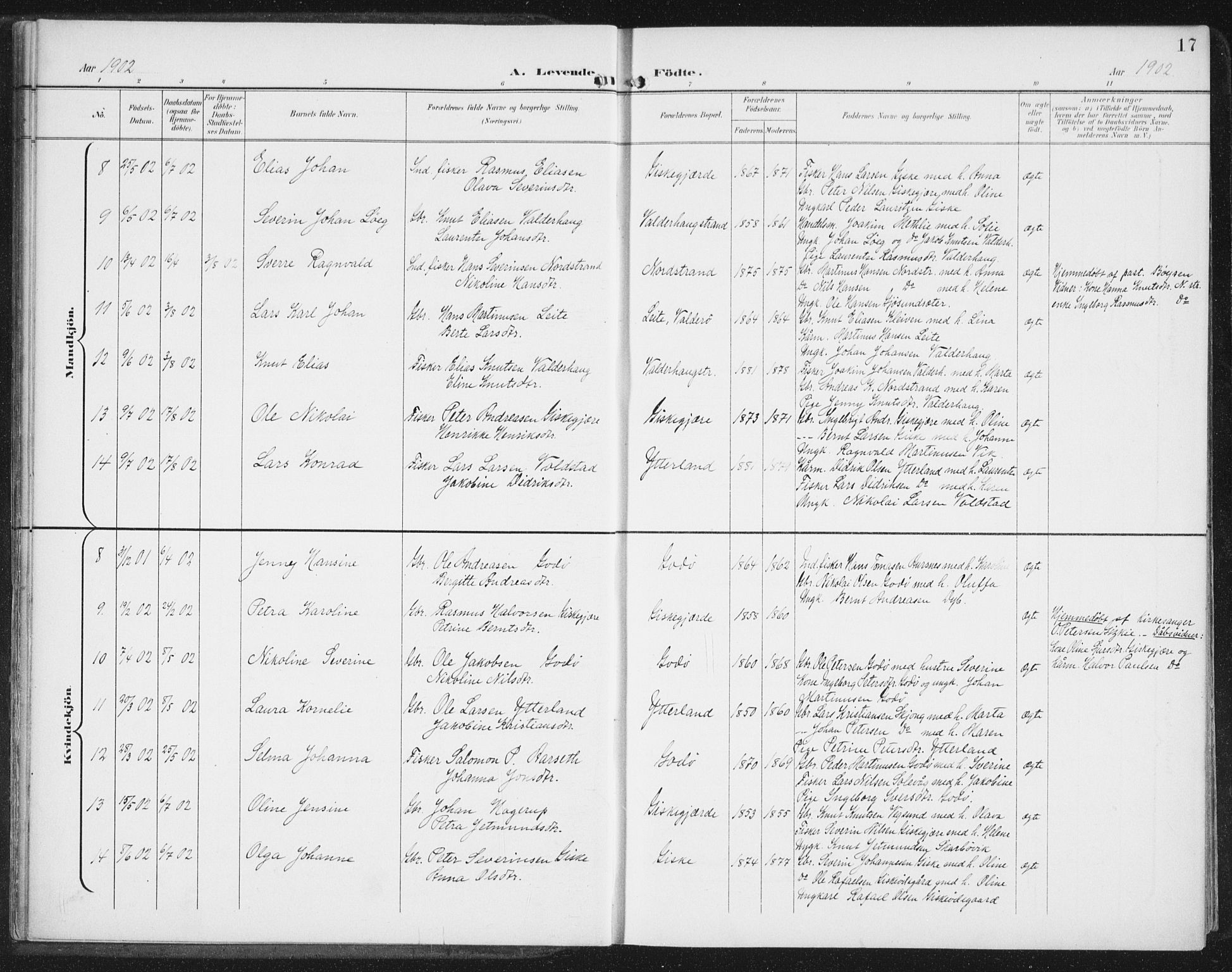 Ministerialprotokoller, klokkerbøker og fødselsregistre - Møre og Romsdal, AV/SAT-A-1454/534/L0489: Parish register (copy) no. 534C01, 1899-1941, p. 17