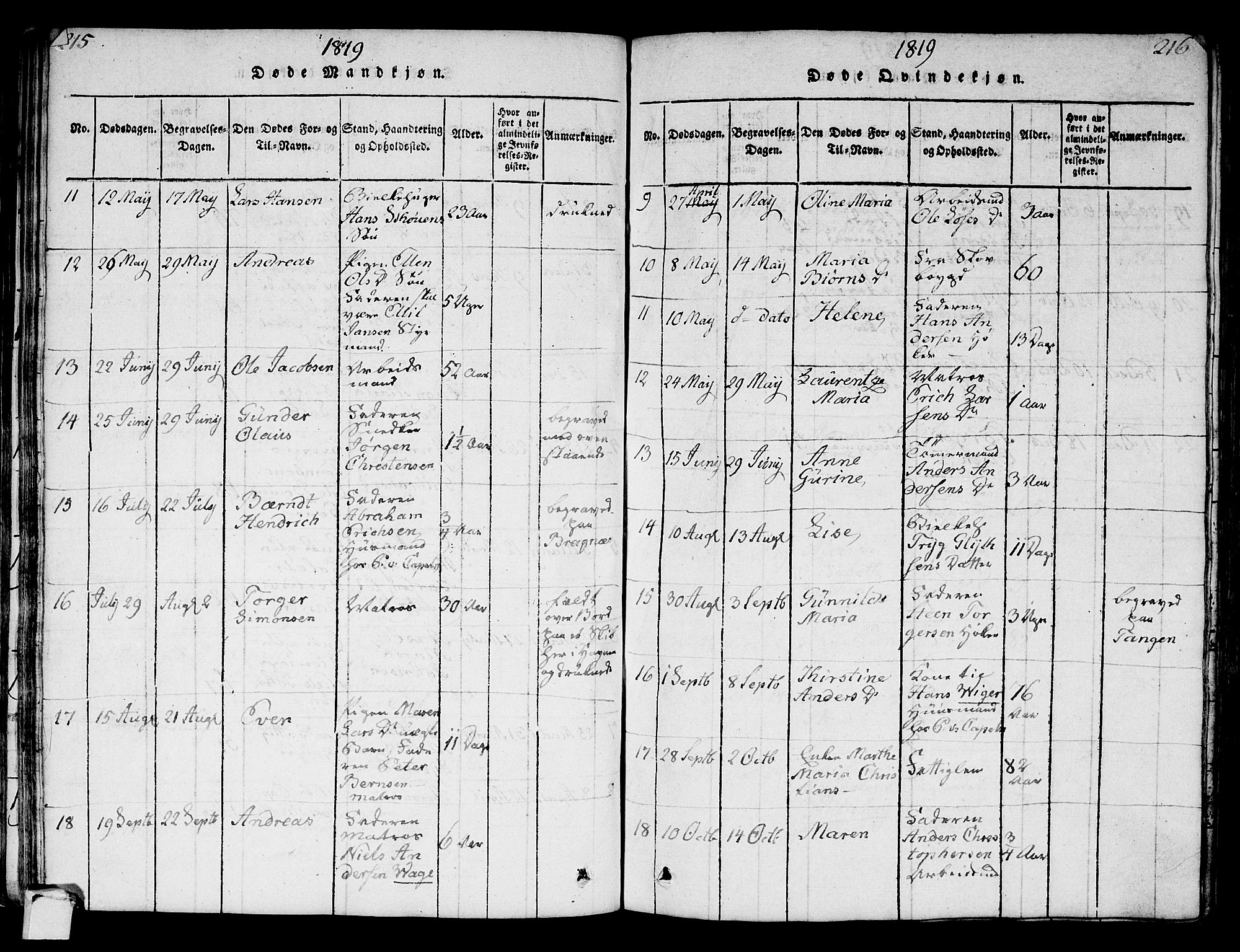 Strømsø kirkebøker, AV/SAKO-A-246/F/Fa/L0011: Parish register (official) no. I 11, 1815-1829, p. 215-216