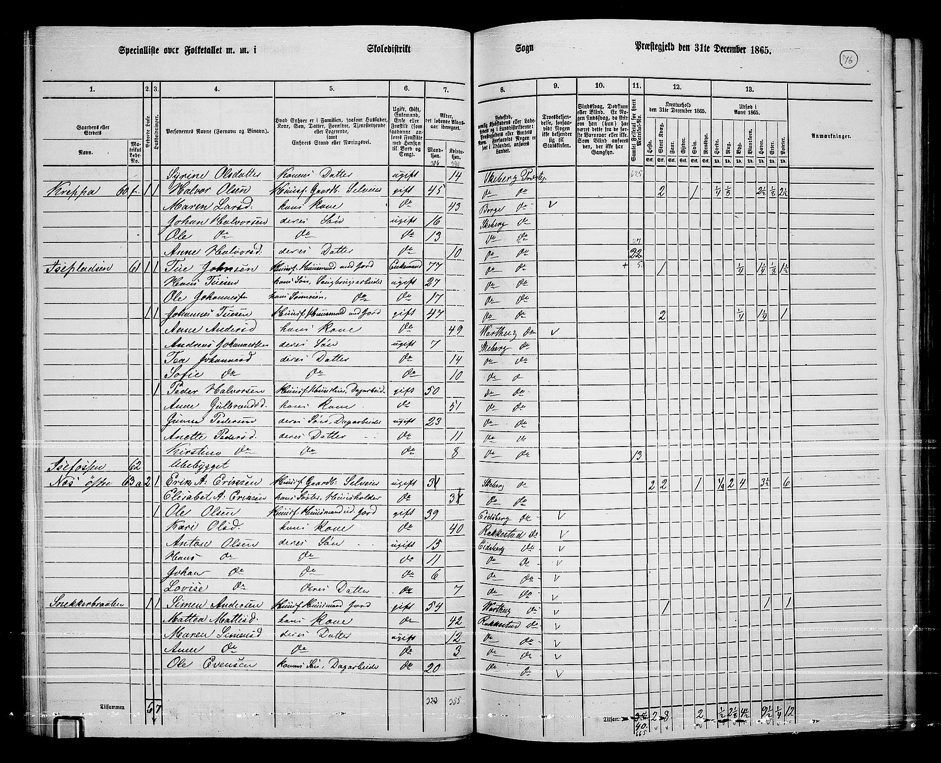 RA, 1865 census for Skjeberg, 1865, p. 72