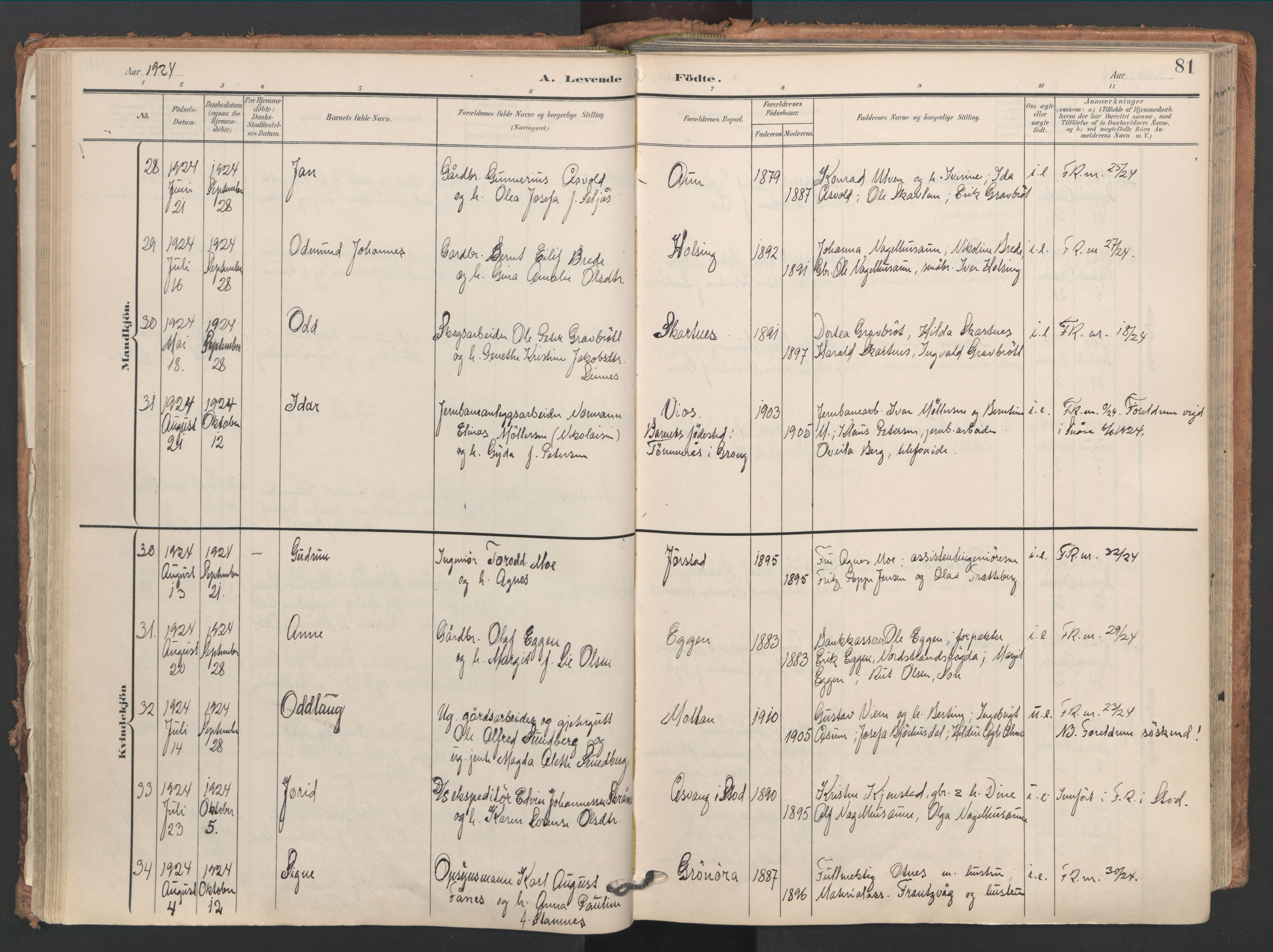 Ministerialprotokoller, klokkerbøker og fødselsregistre - Nord-Trøndelag, AV/SAT-A-1458/749/L0477: Parish register (official) no. 749A11, 1902-1927, p. 81