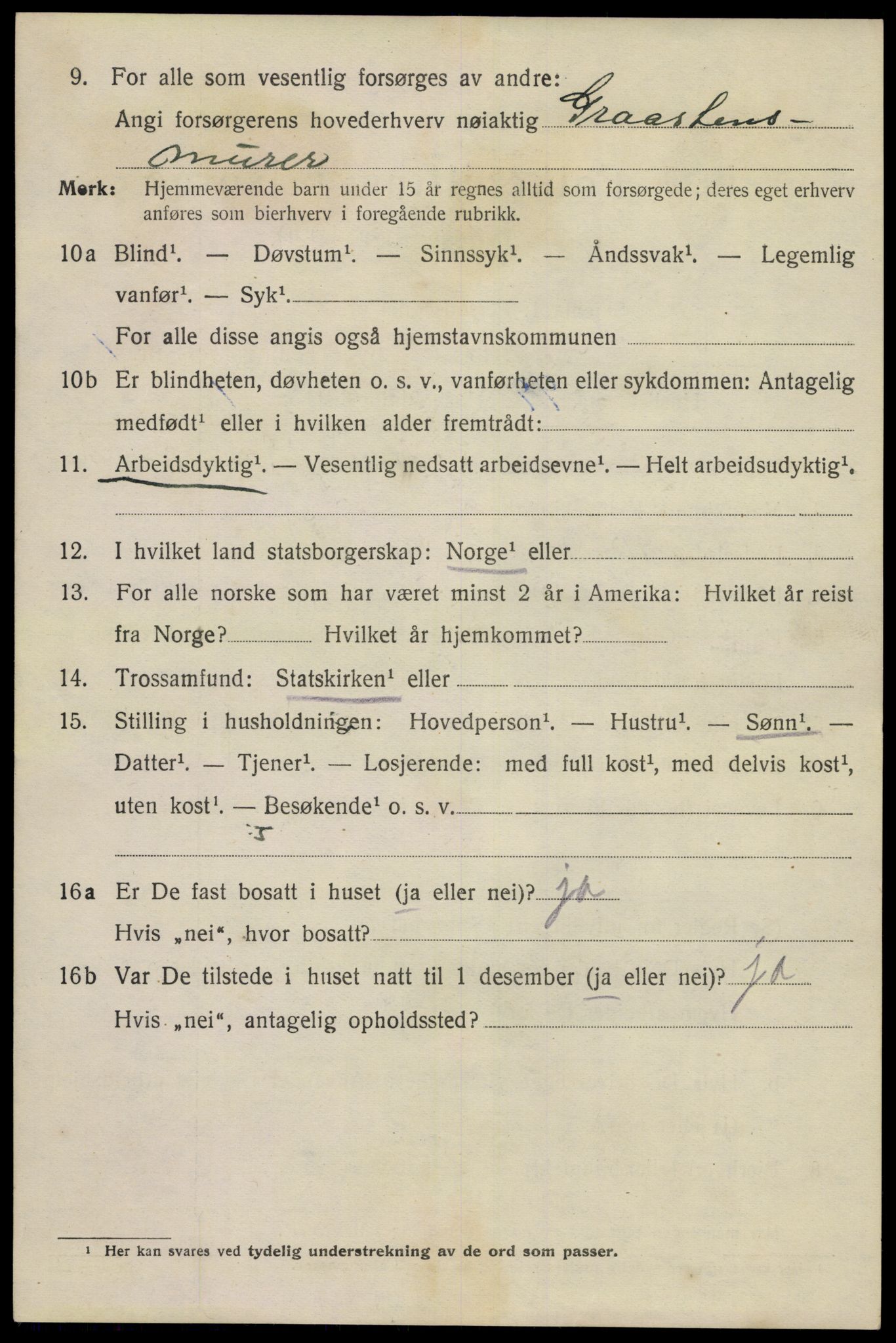 SAKO, 1920 census for Langesund, 1920, p. 2732