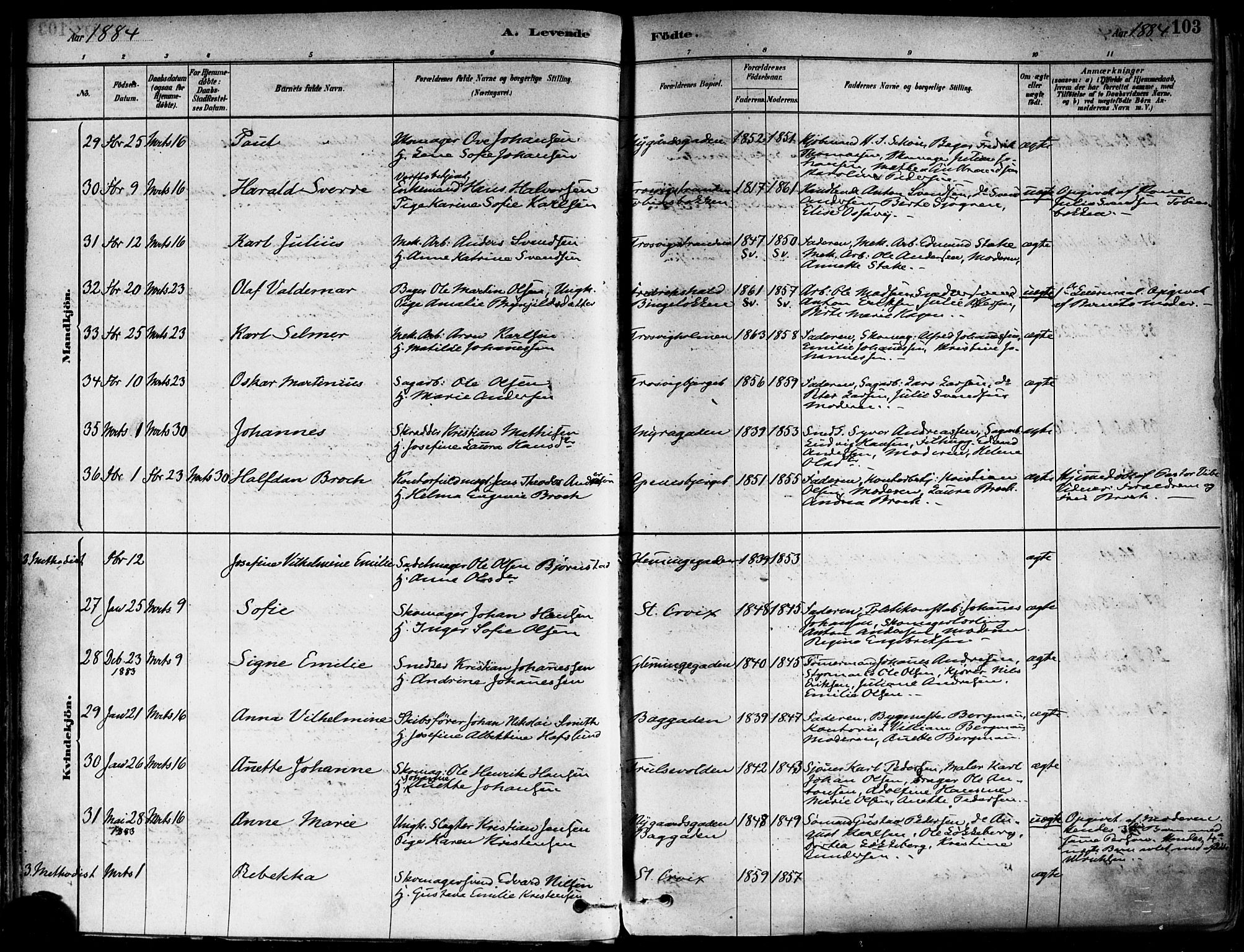 Fredrikstad domkirkes prestekontor Kirkebøker, AV/SAO-A-10906/F/Fa/L0002: Parish register (official) no. 2, 1878-1894, p. 103