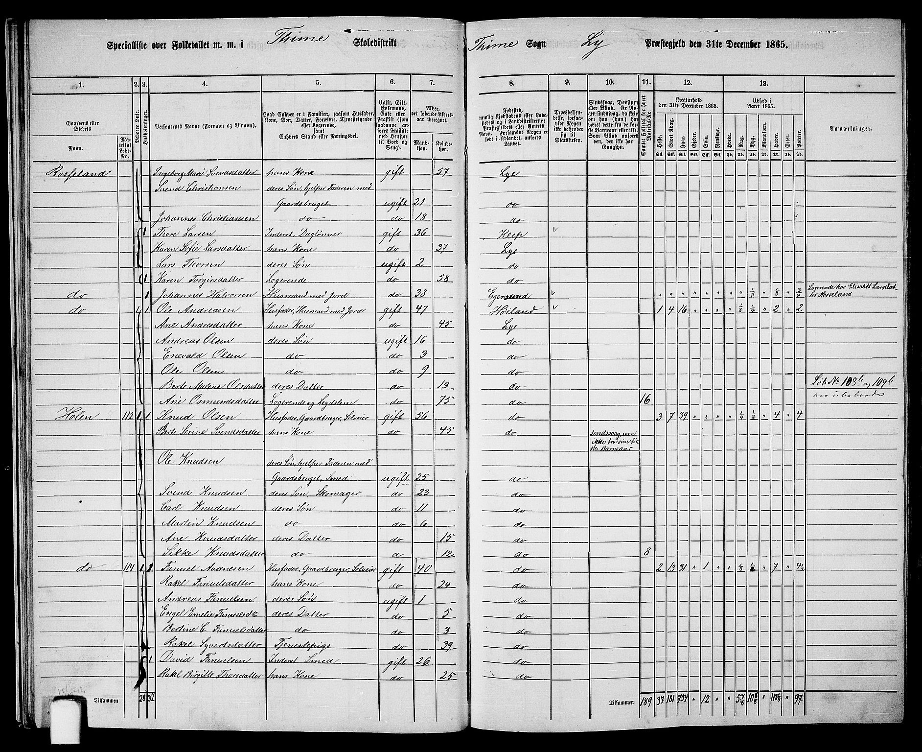 RA, 1865 census for Lye, 1865, p. 20