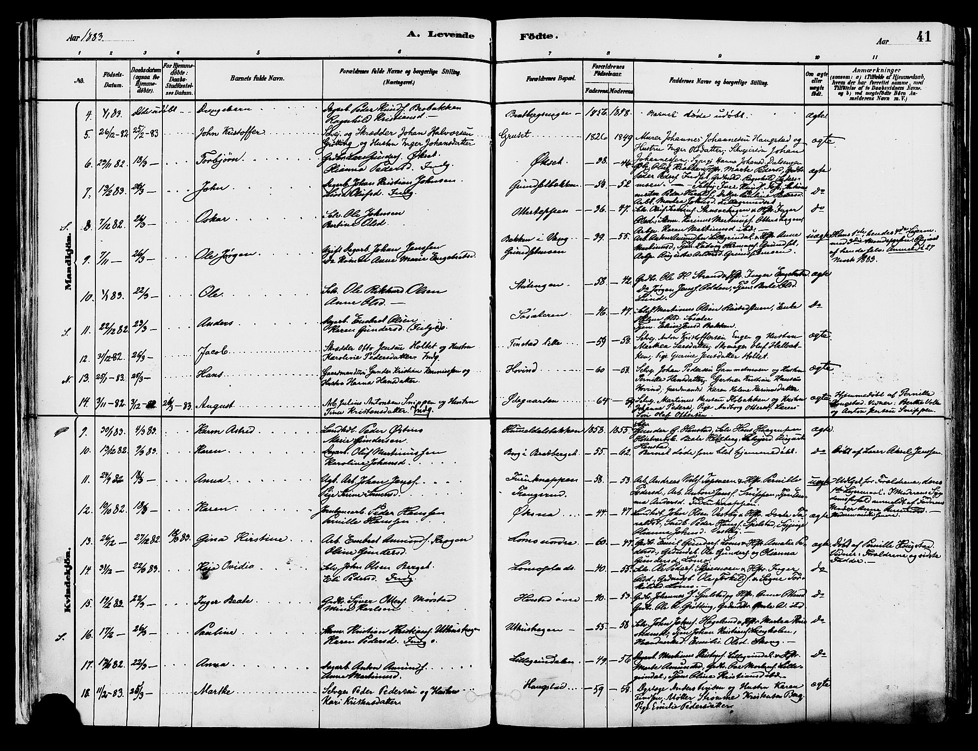 Elverum prestekontor, AV/SAH-PREST-044/H/Ha/Haa/L0013: Parish register (official) no. 13, 1880-1890, p. 41