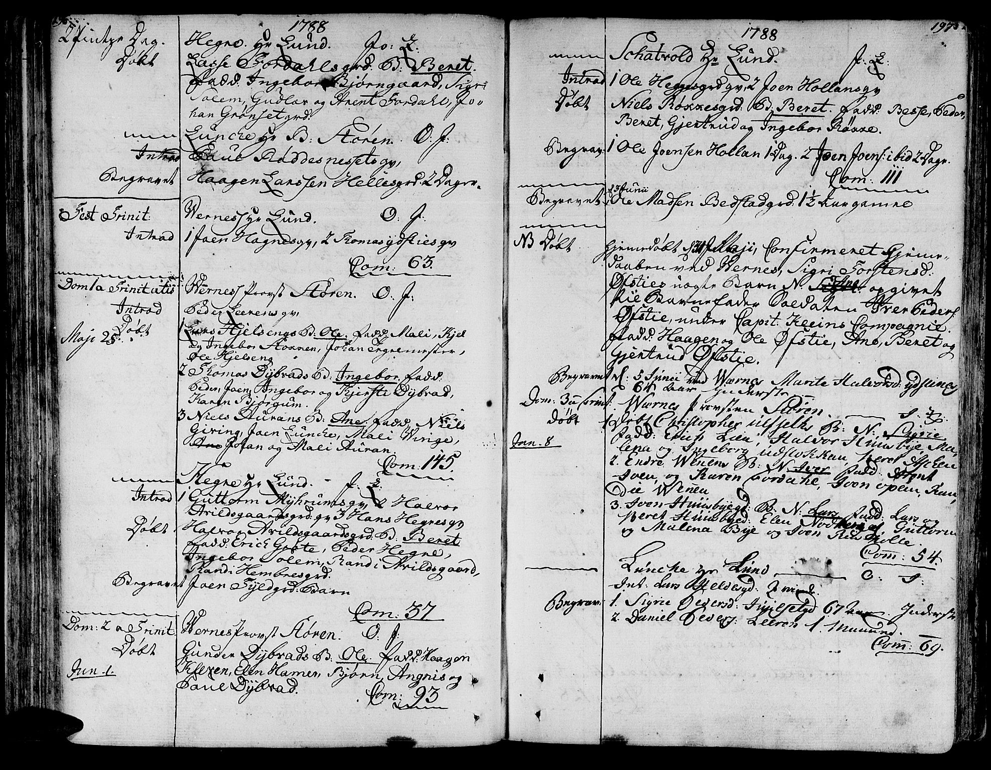 Ministerialprotokoller, klokkerbøker og fødselsregistre - Nord-Trøndelag, AV/SAT-A-1458/709/L0059: Parish register (official) no. 709A06, 1781-1797, p. 196-197